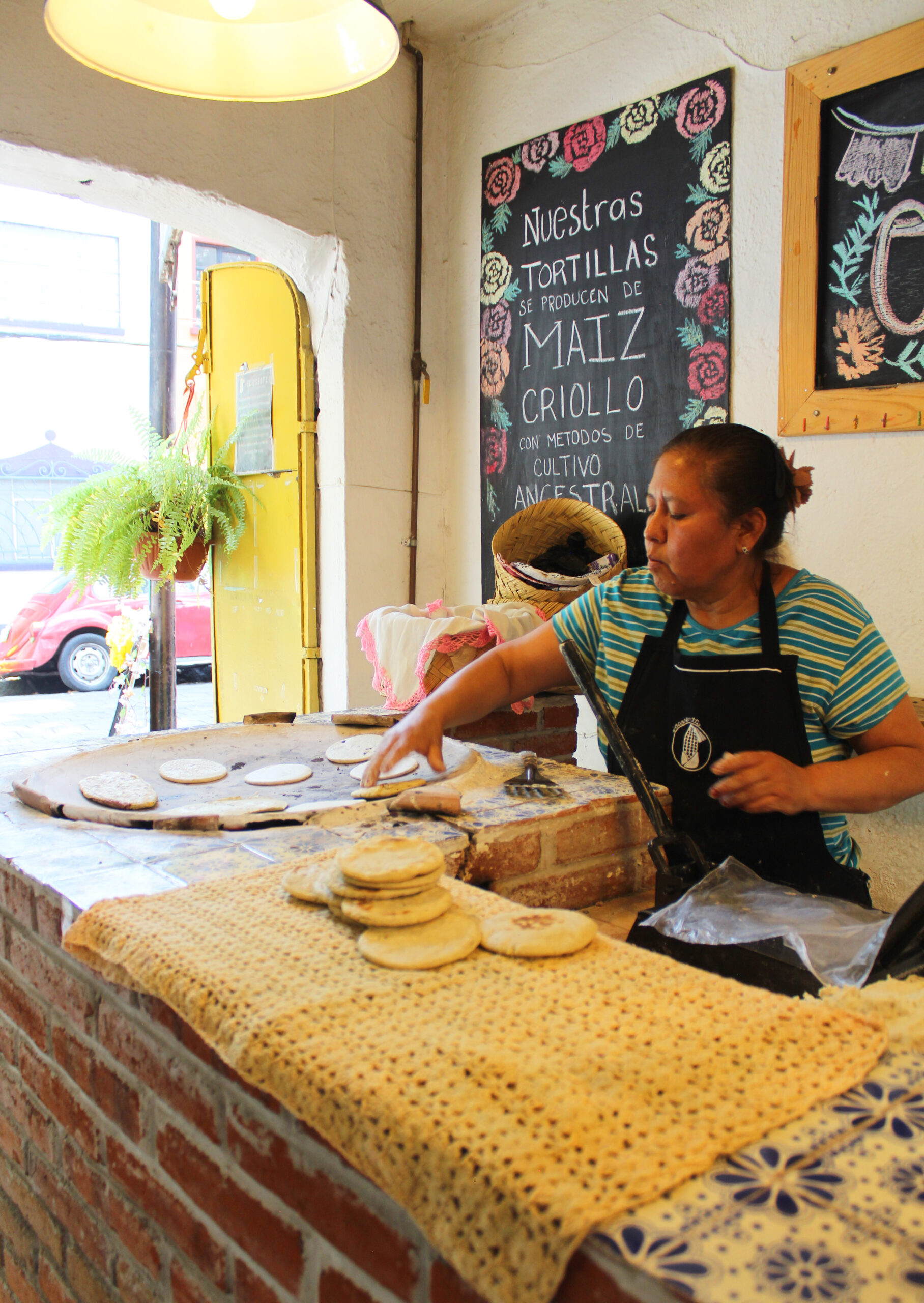 Chinampas of Xochimilco: Food & Tradition for 2 peoples