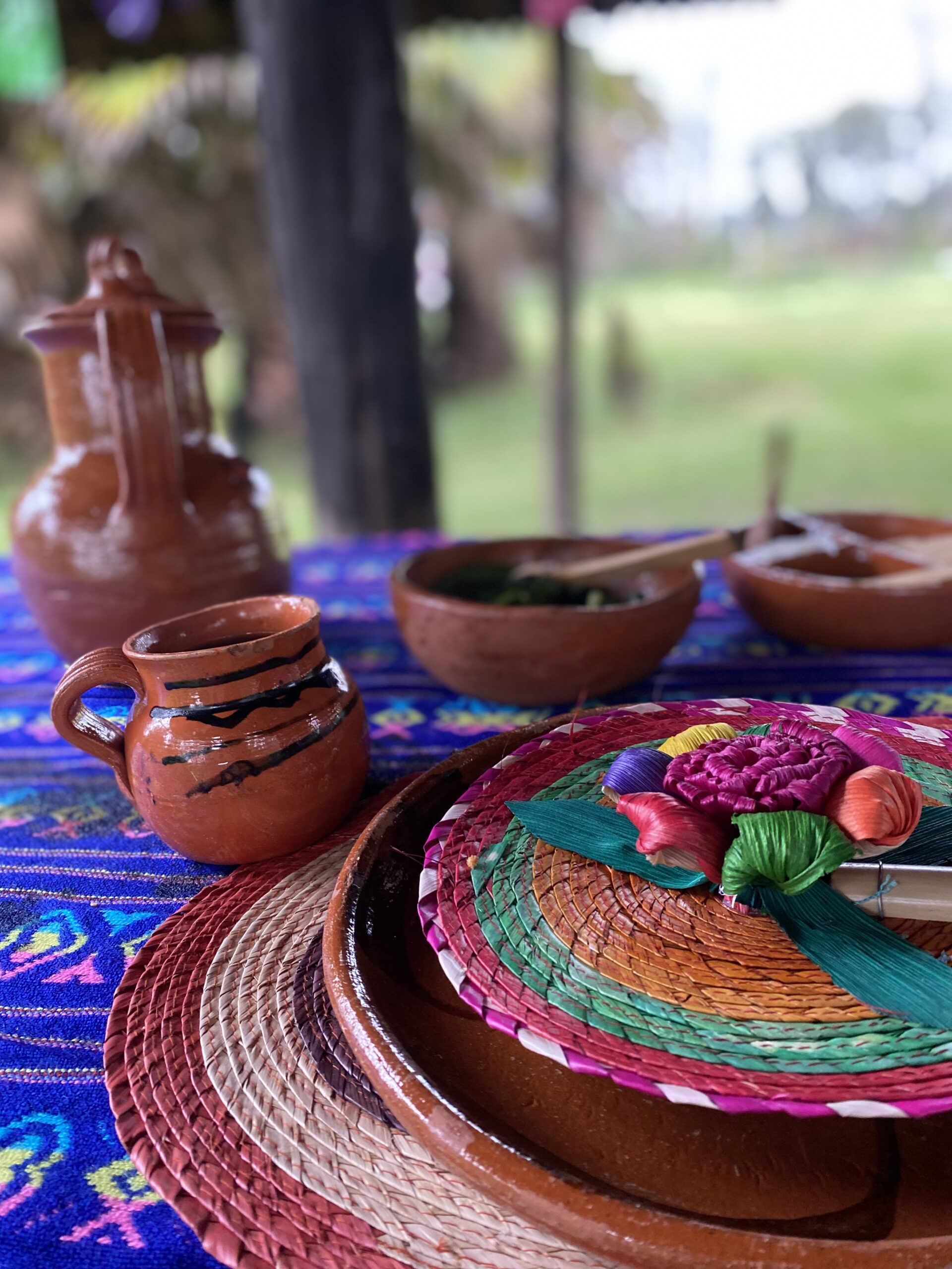 Chinampas of Xochimilco: Food & Tradition for 8 peoples