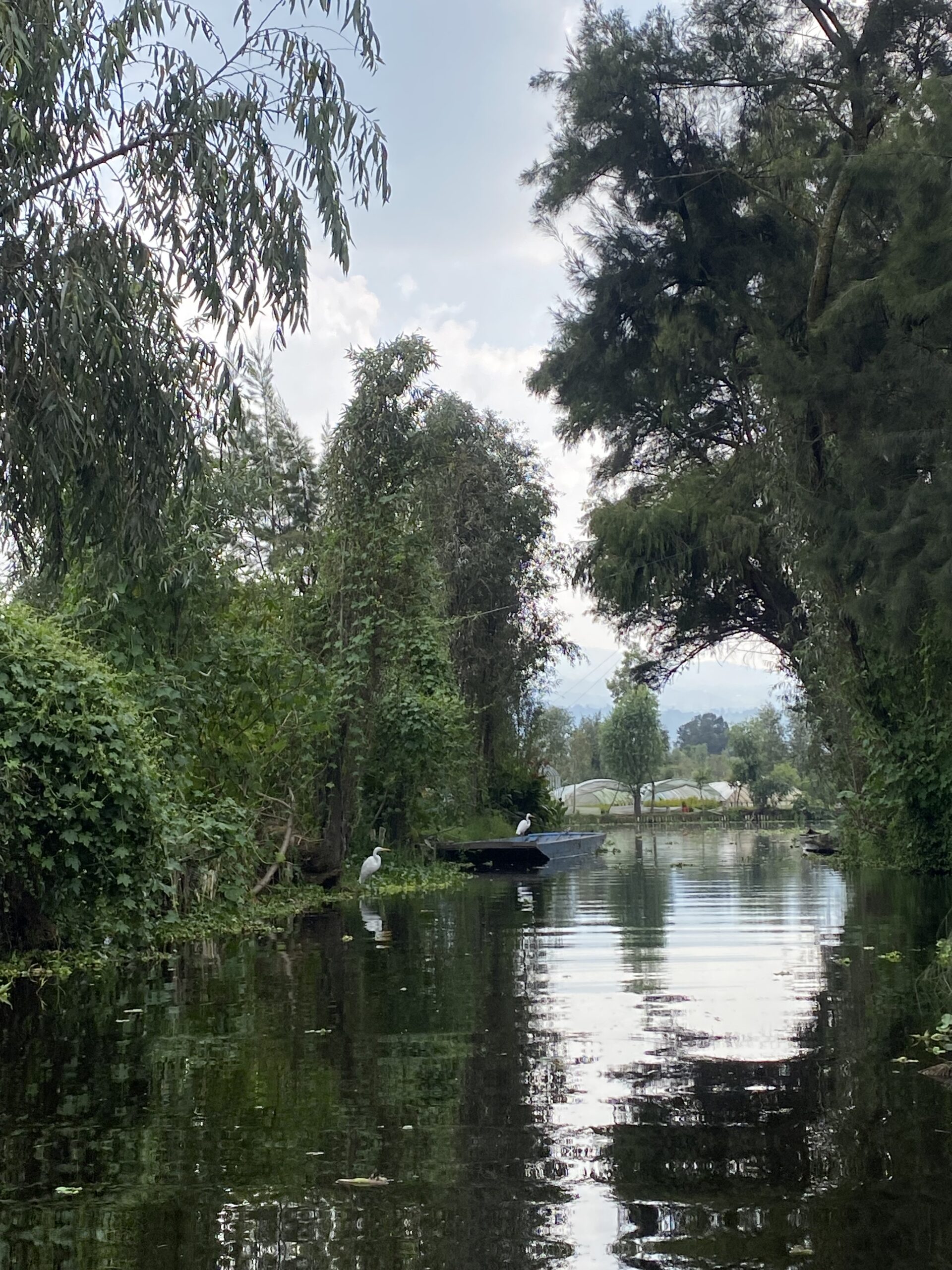 Chinampas of Xochimilco: Food & Tradition for 5 peoples