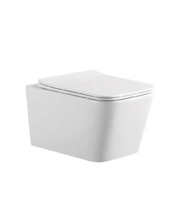 TOILET 1907