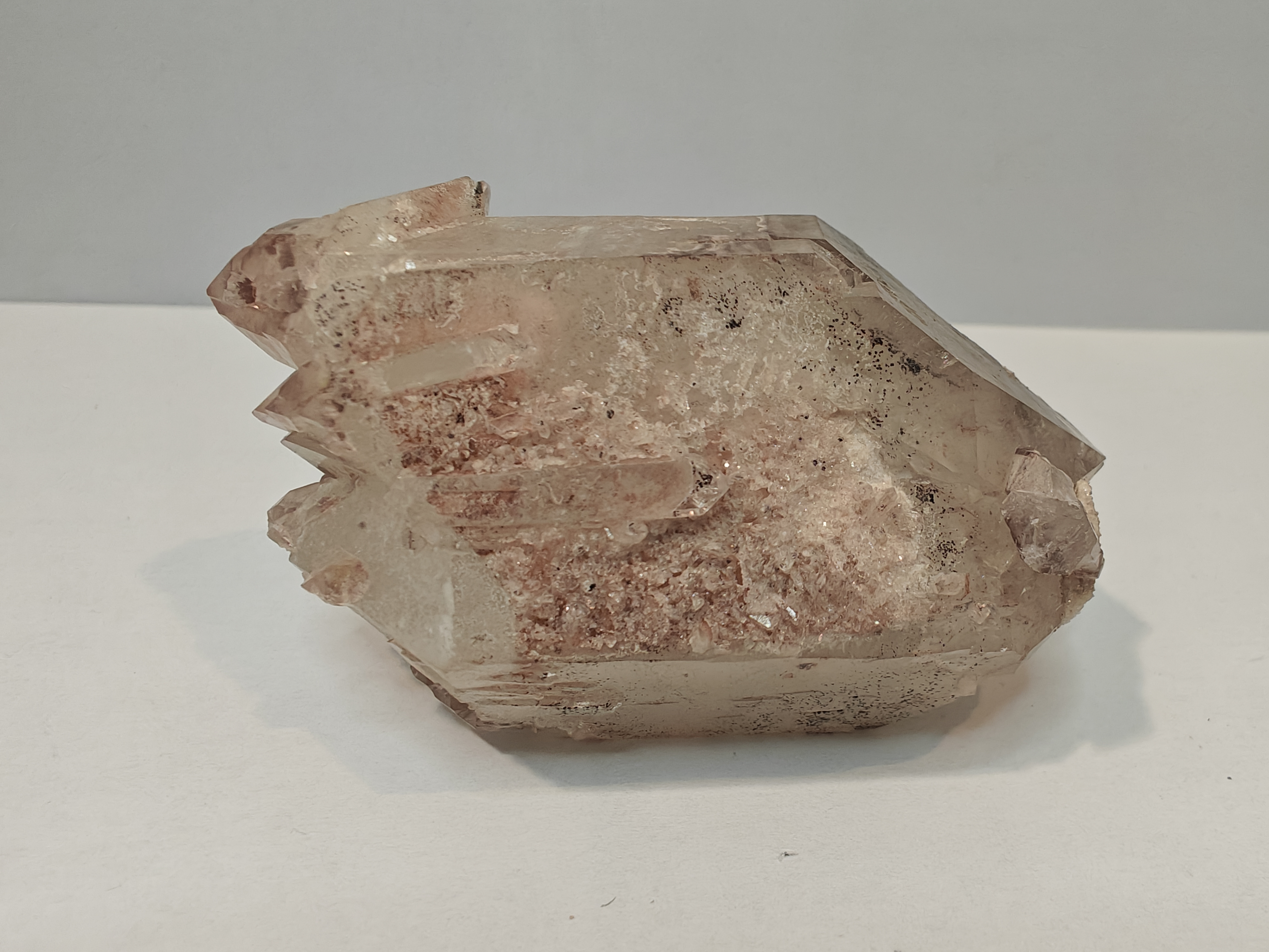 Tangerine sugar blade protector