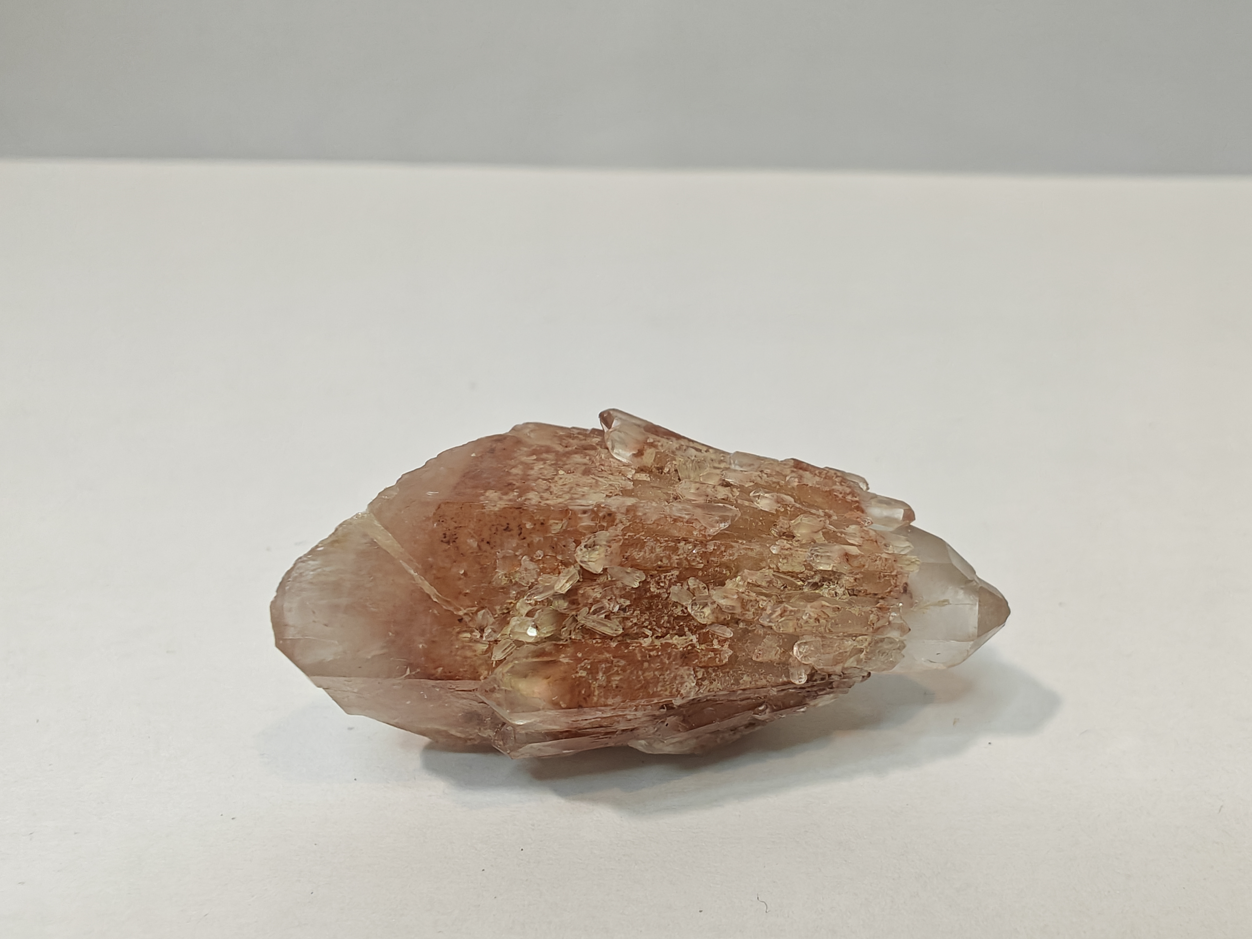 Tangerine sugar blade protector