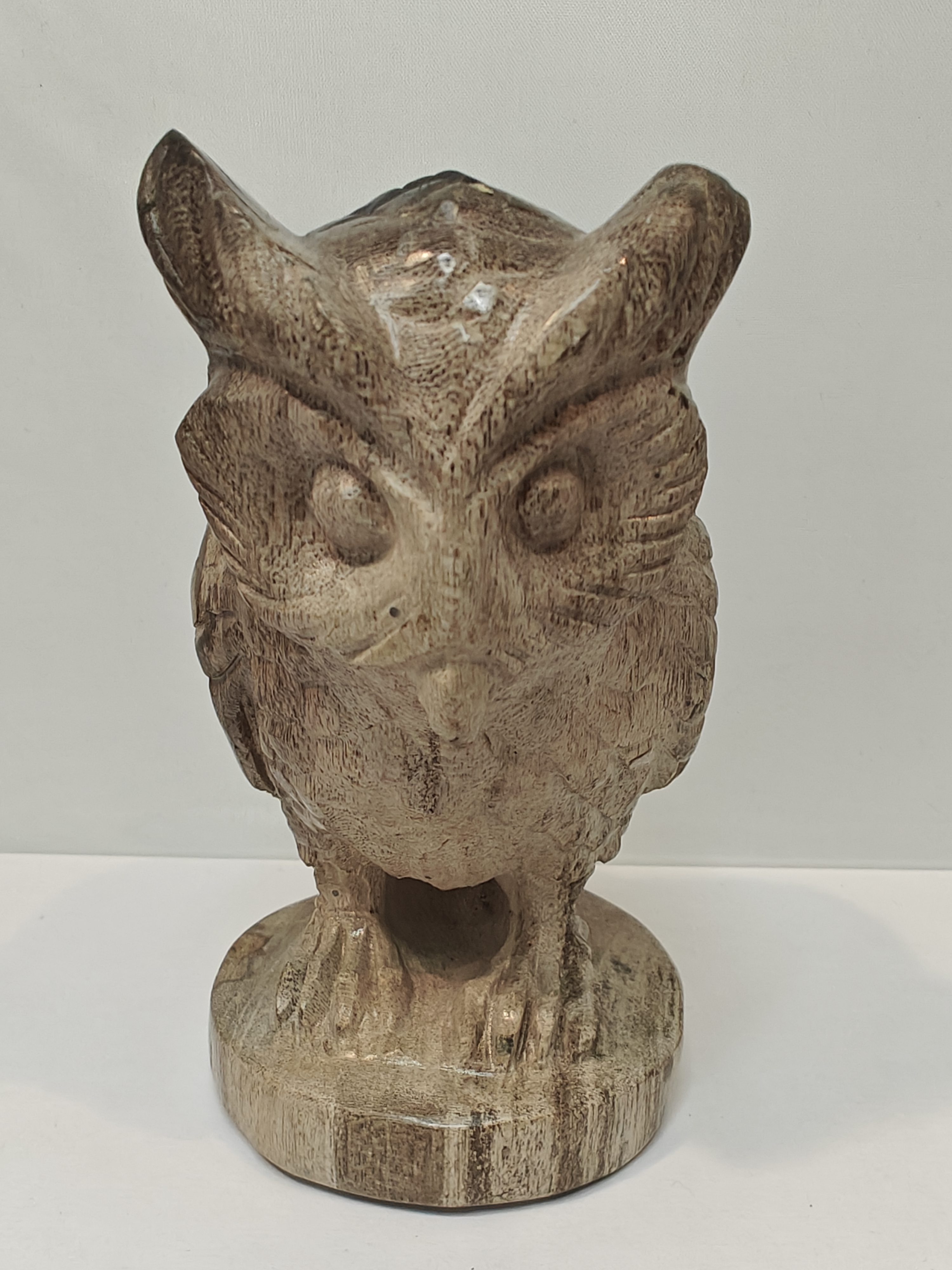 Versteend Palmwortel