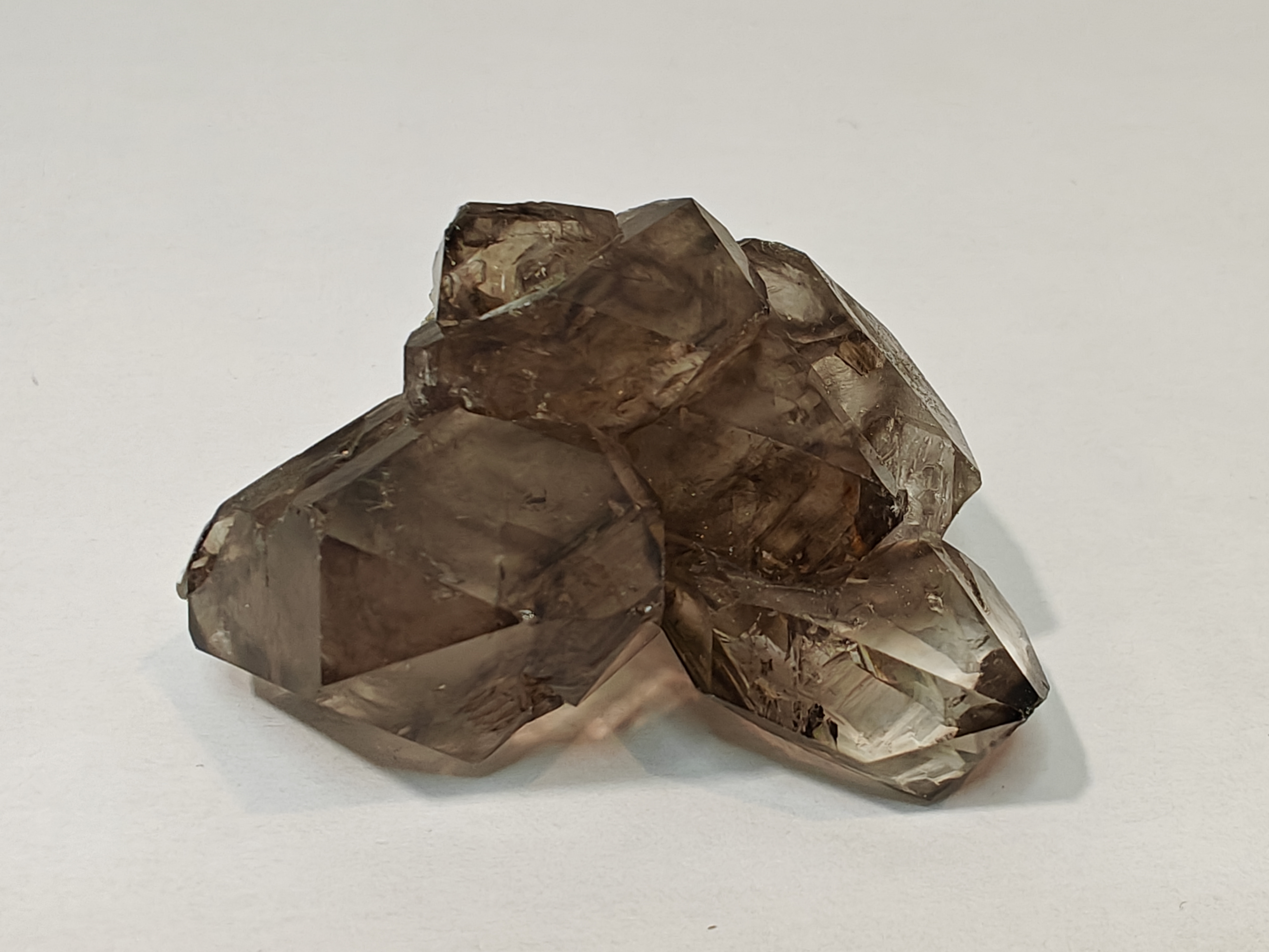 Elestiaal krokodillenkwarts