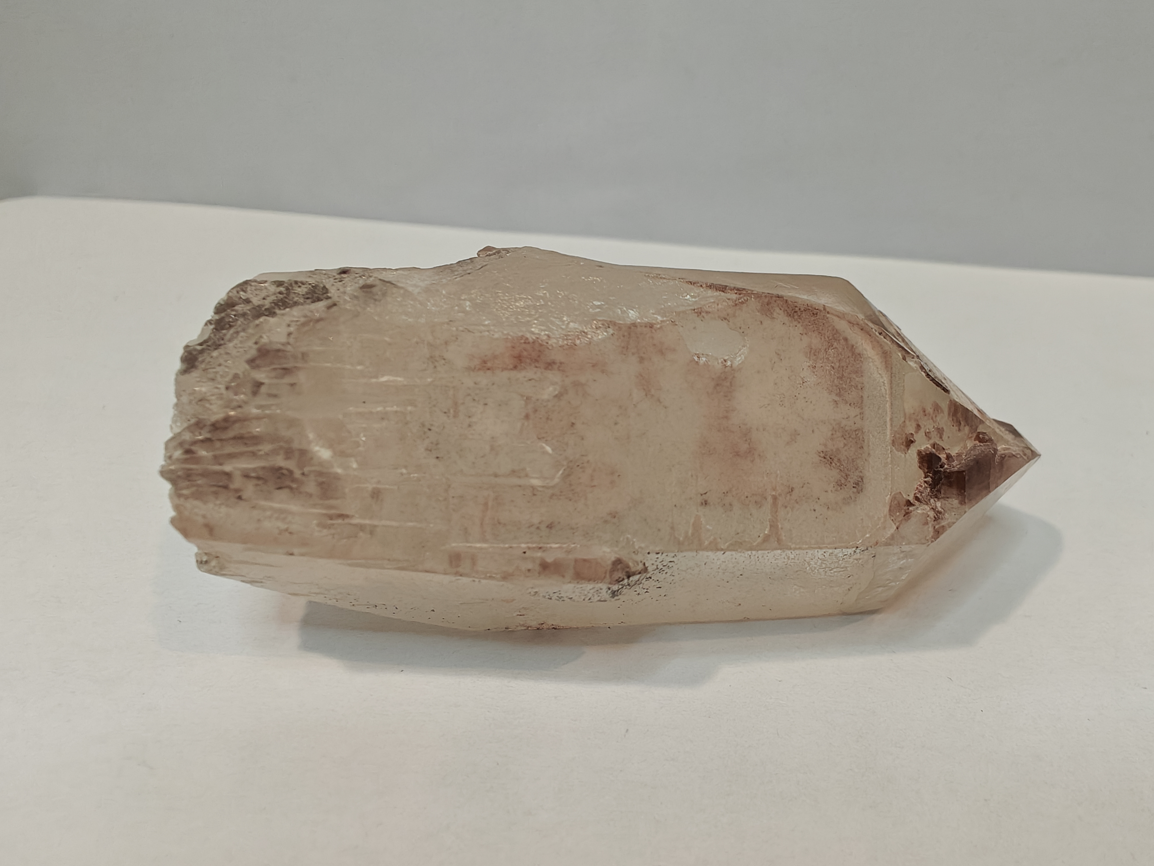 Tangerine sugar blade protector