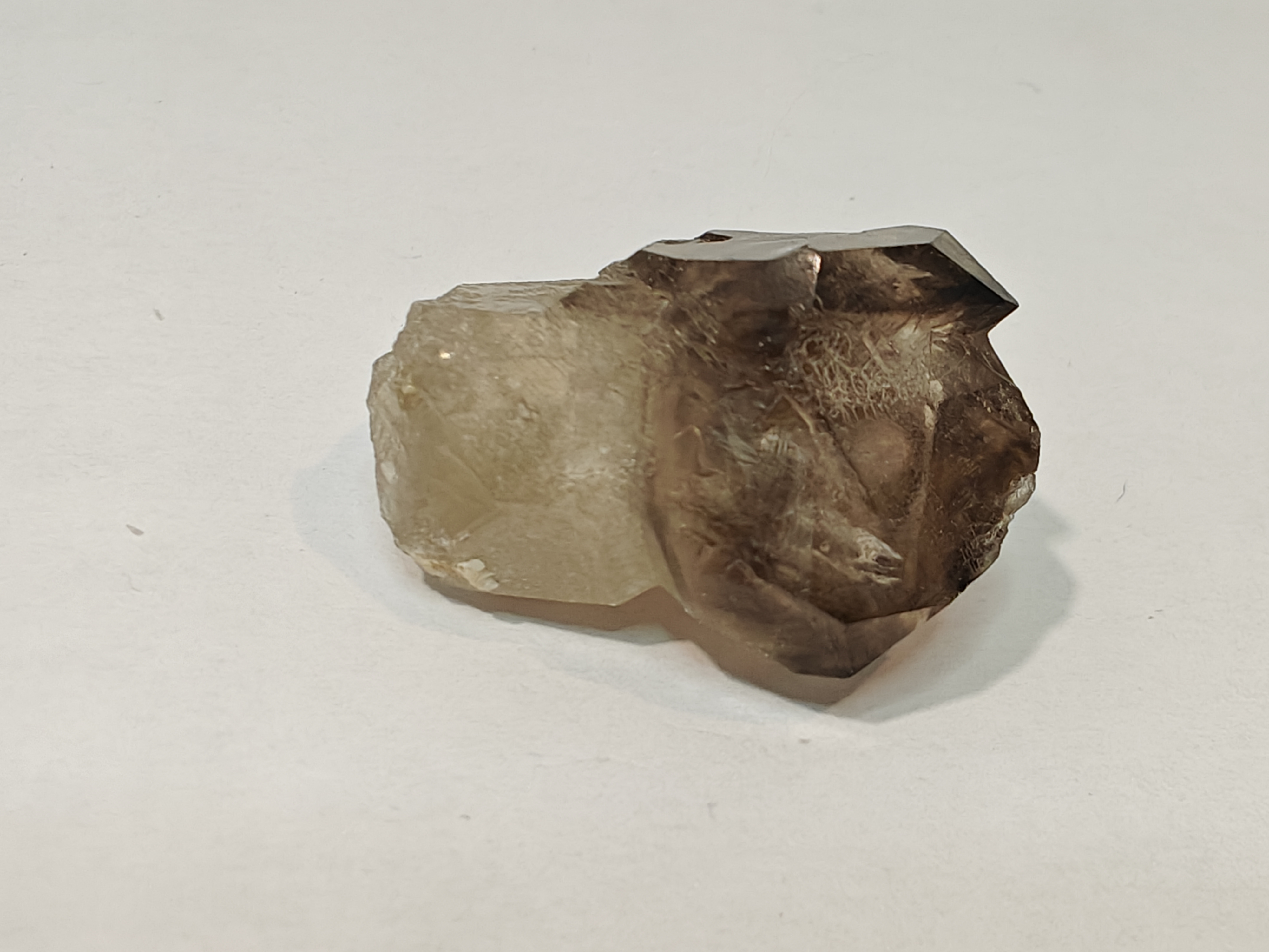 Elestiaal krokodillenkwarts