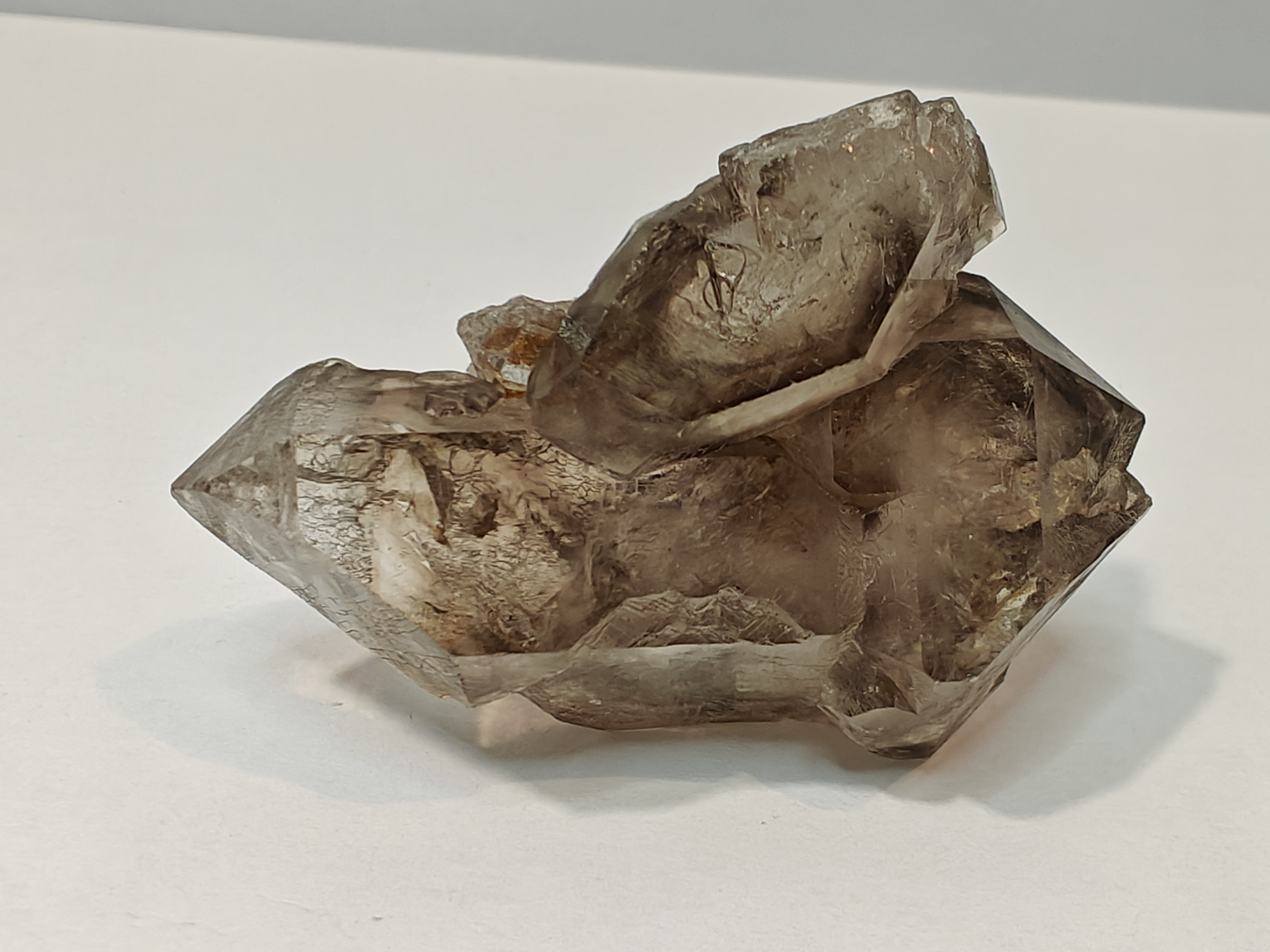 Elestiaal krokodillenkwarts