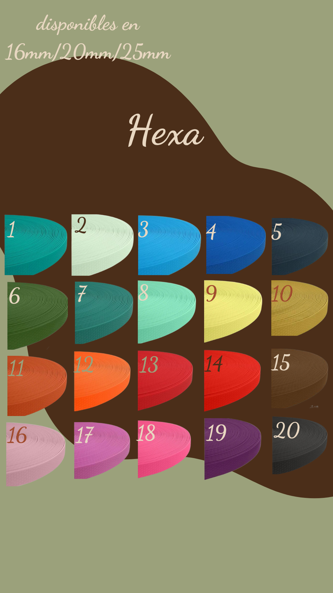 Longe sangle enduite