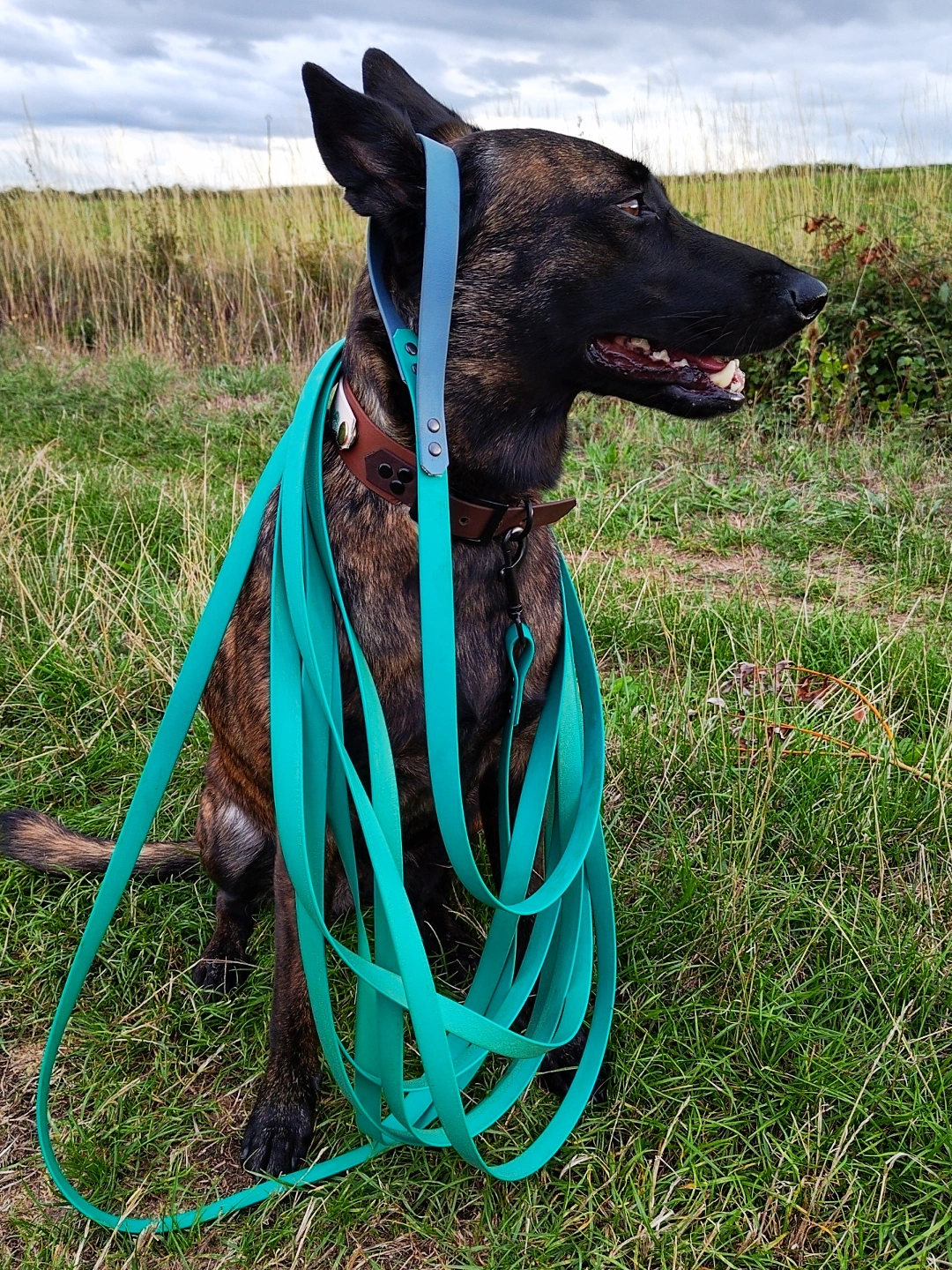 Longe sangle enduite