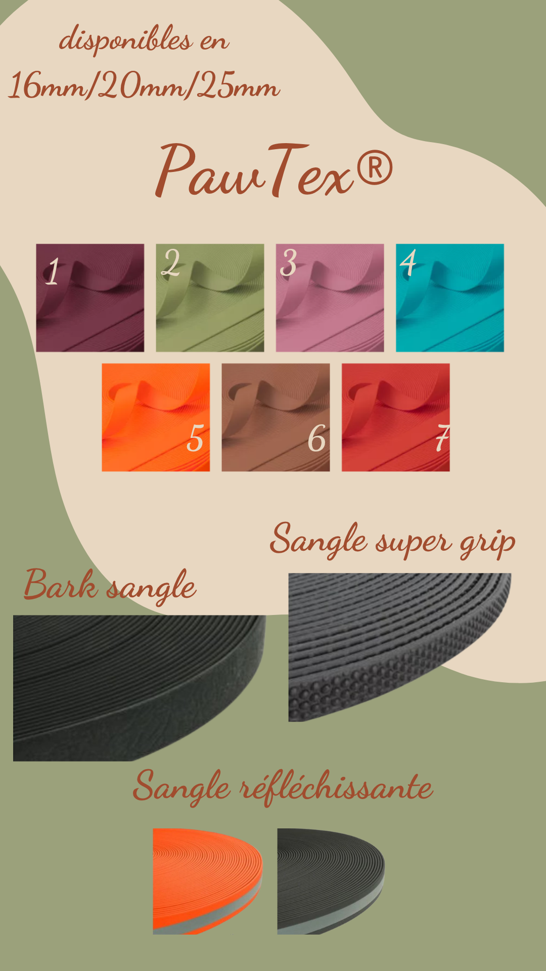 Longe sangle enduite