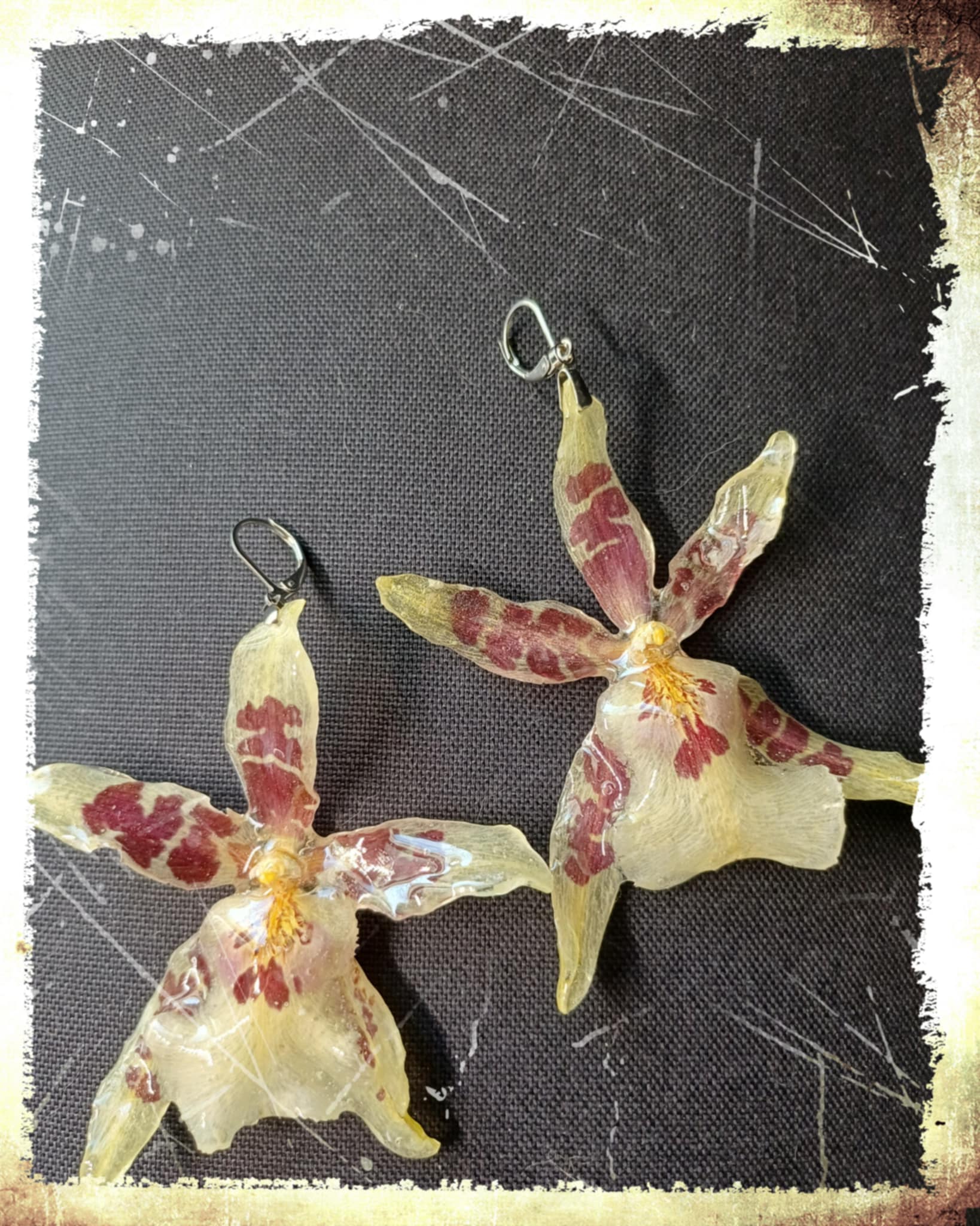 Boucles d'oreilles Orchidées Aliceara