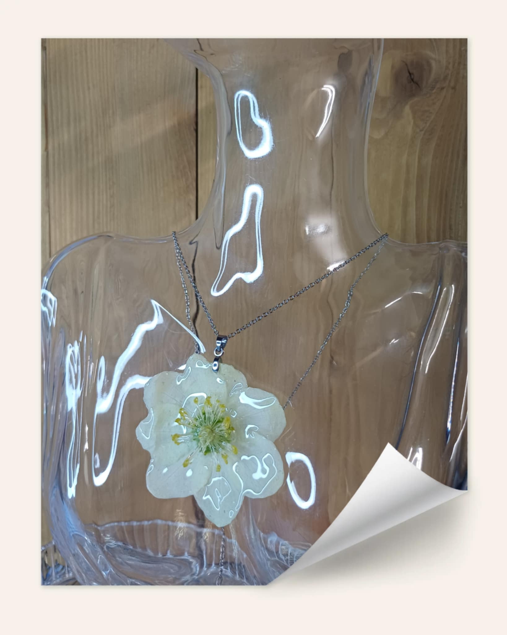 Collier Hellébore blanche