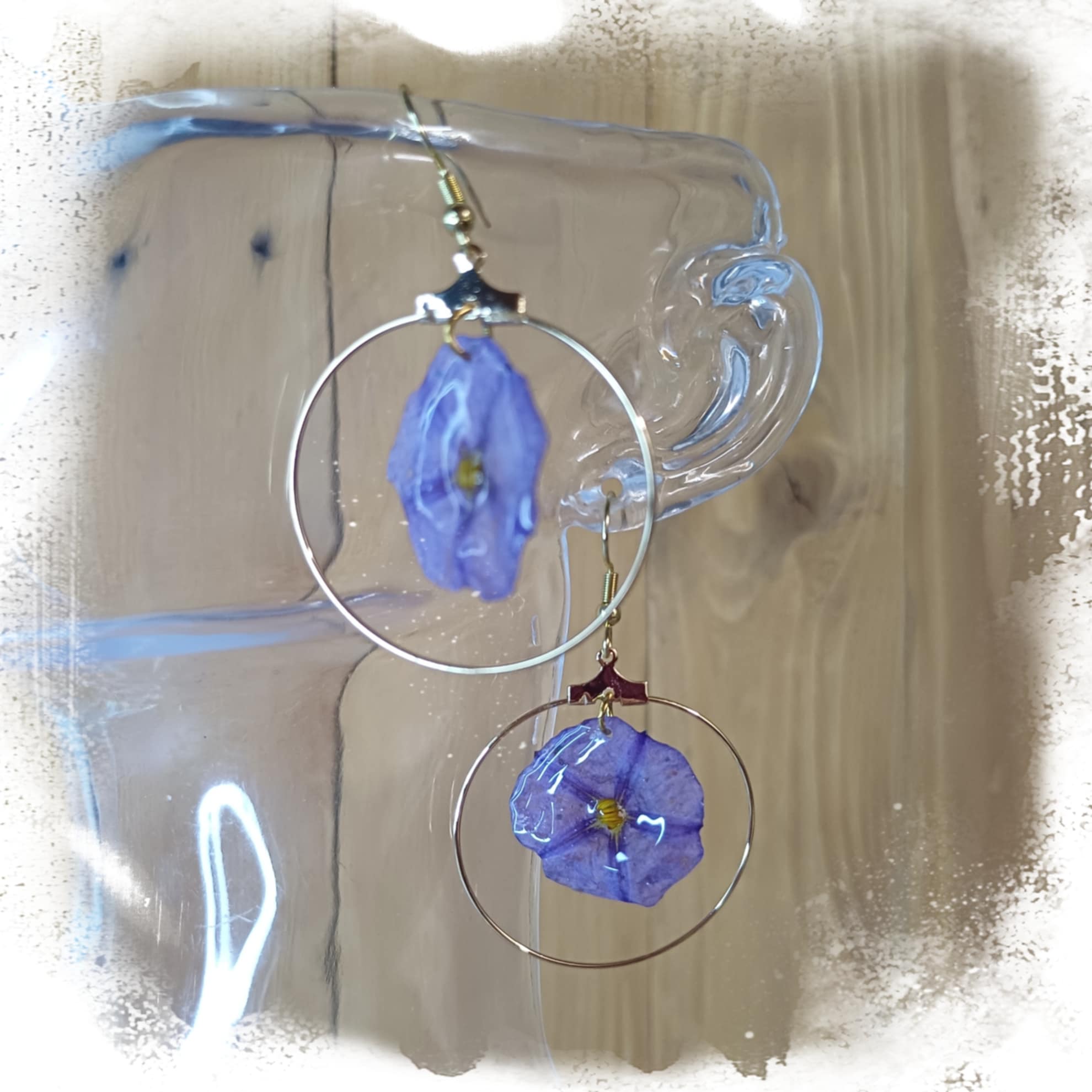 Boucles Liseron de Mauritanie