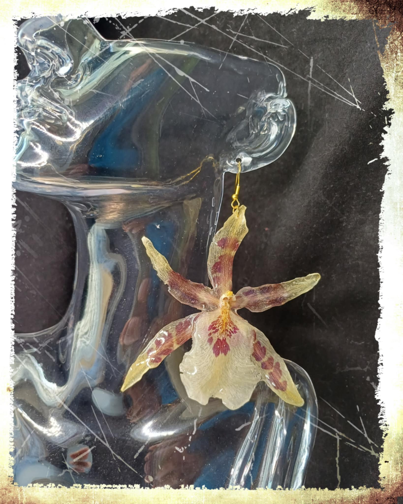 Boucles d'oreilles Orchidées Aliceara