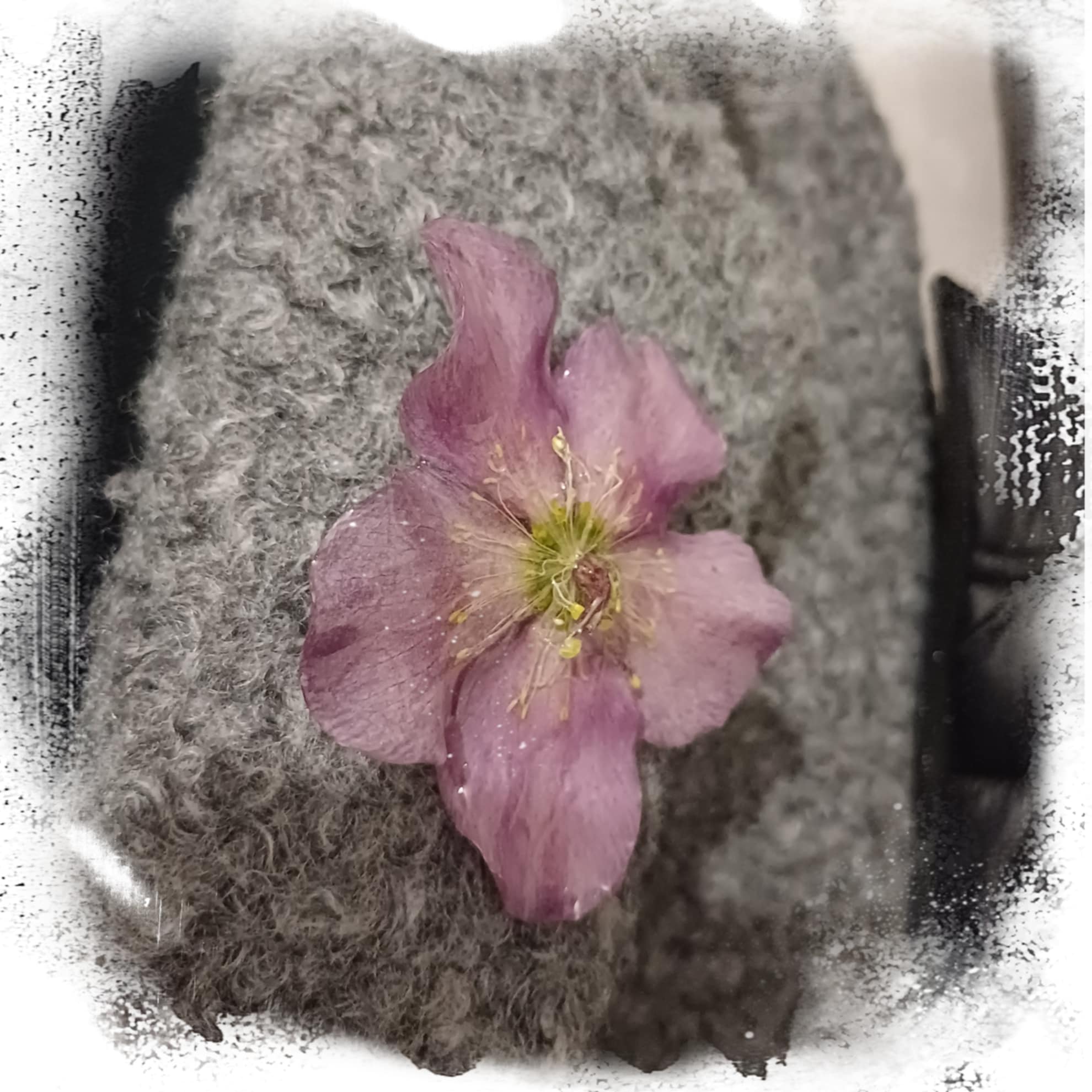 Broche Hellébore mauve/rose
