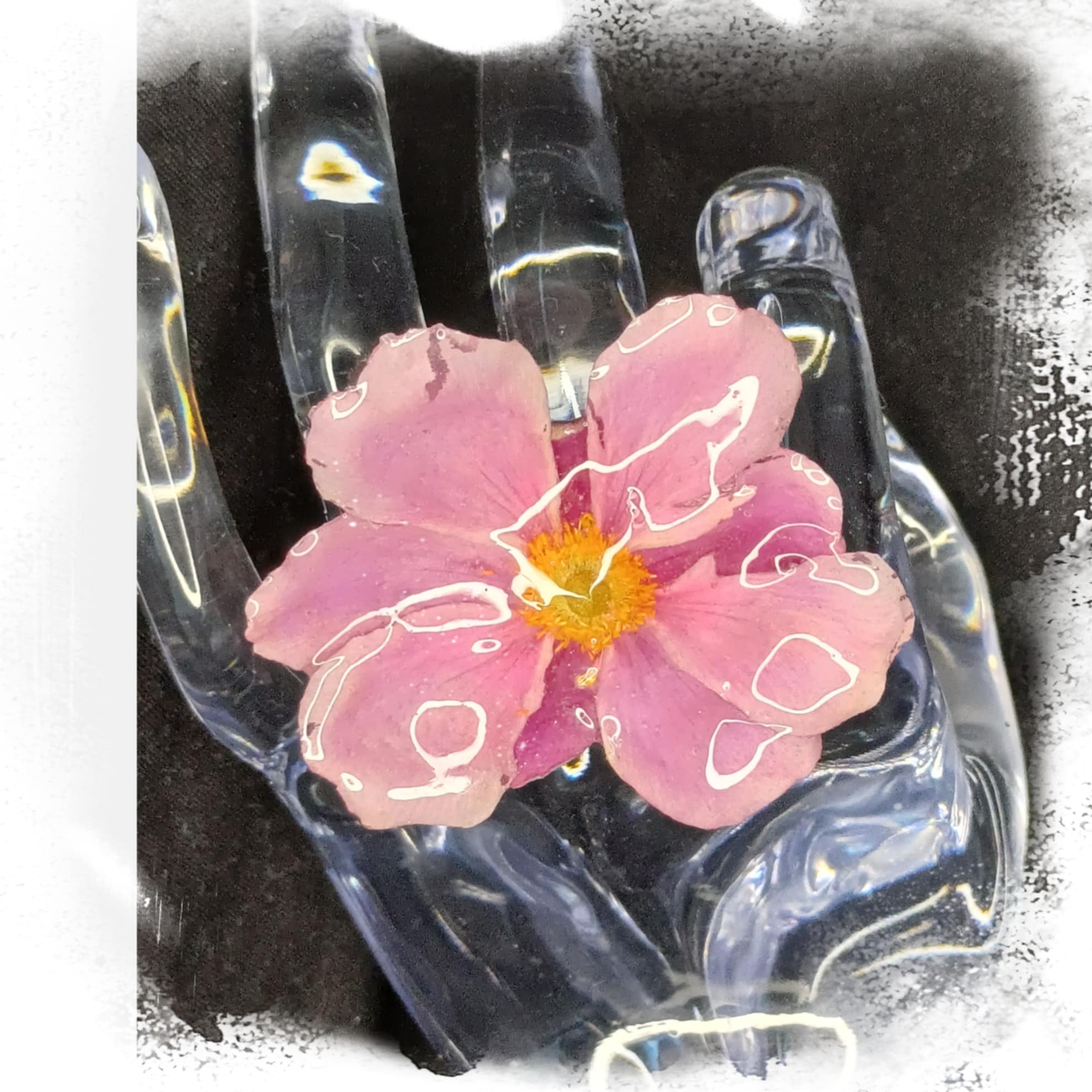 Bague Anémone du Japon