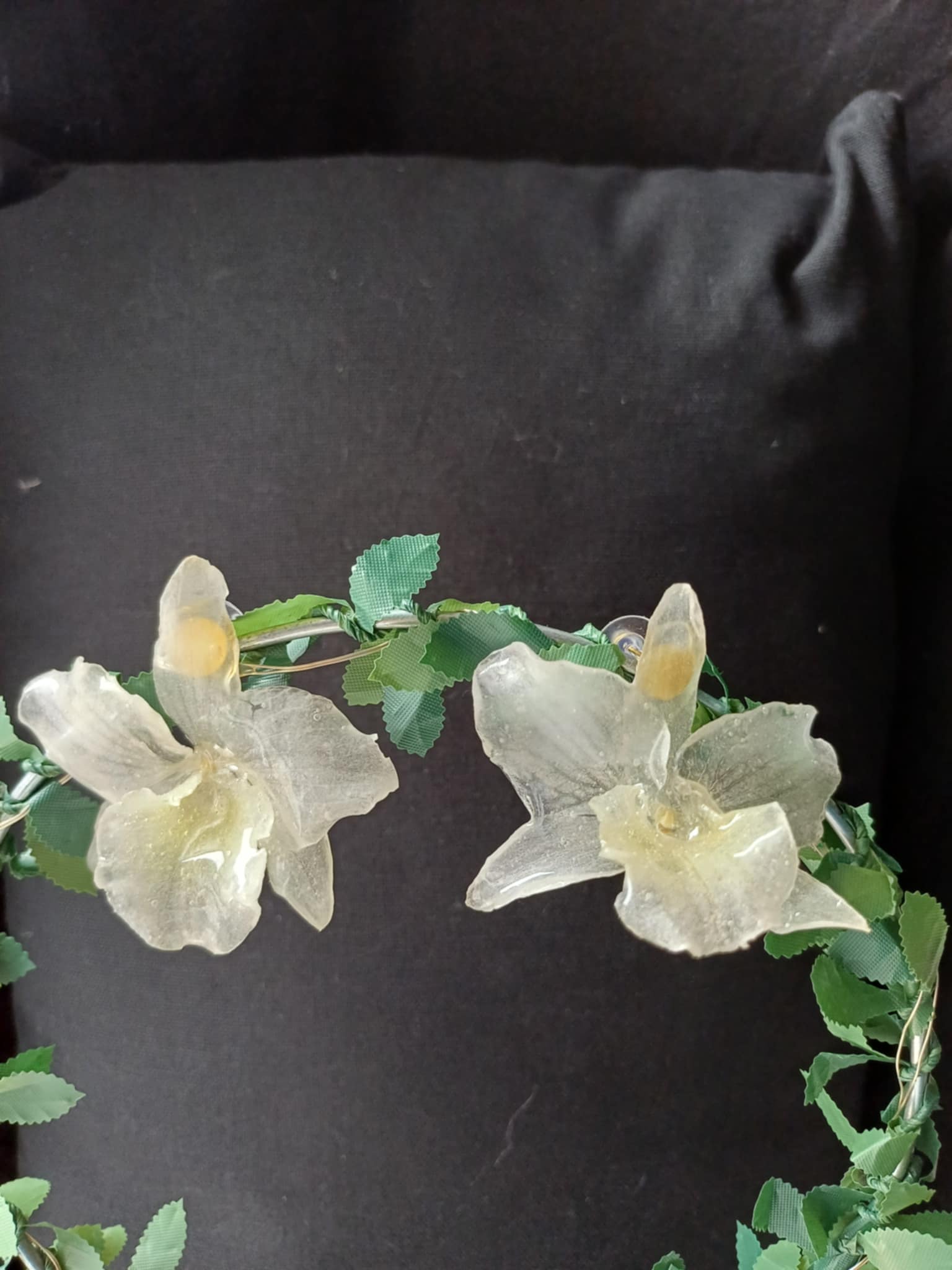 Puces d'oreilles orchidées Dendrobium blanches 