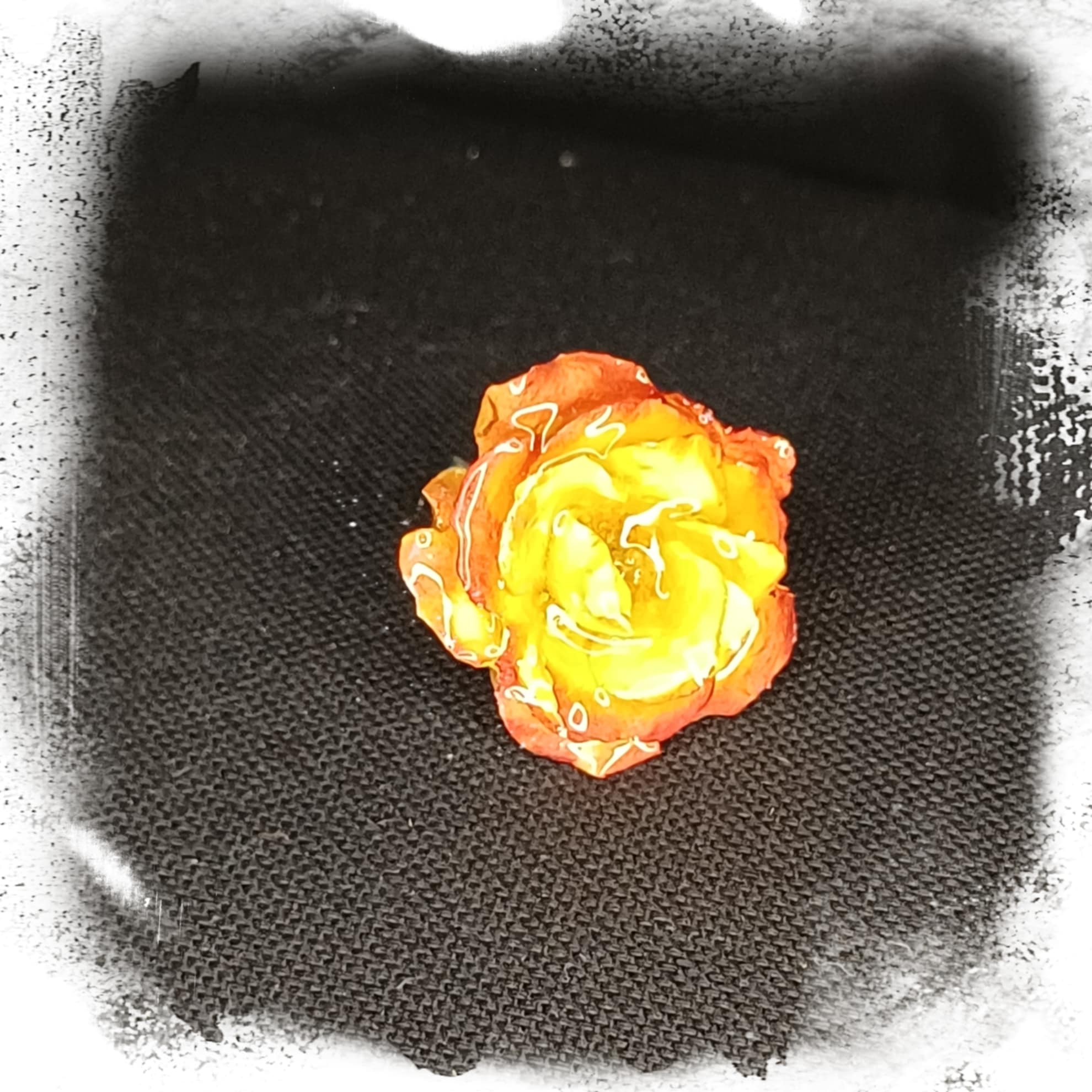 Bague Rose jaune et rose foncé
