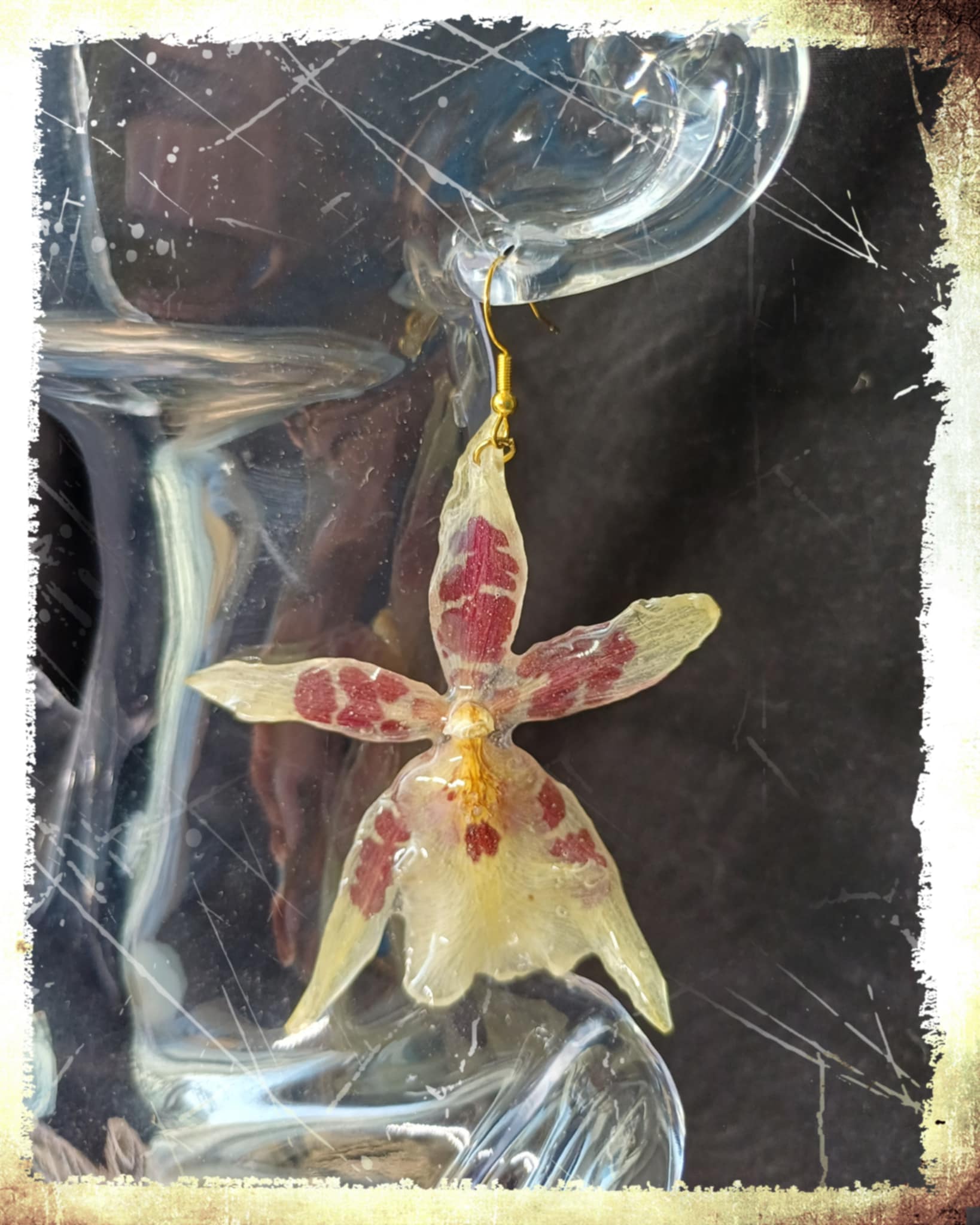 Boucles d'oreilles fleurs d'Orchidées Aliceara