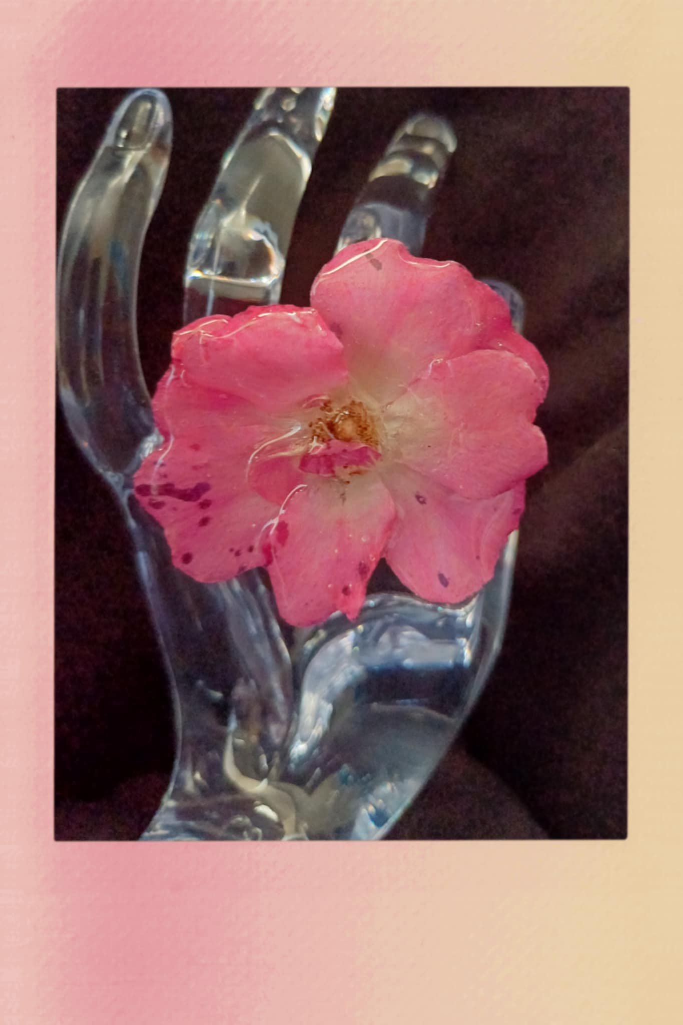 Bague rose d'églantier