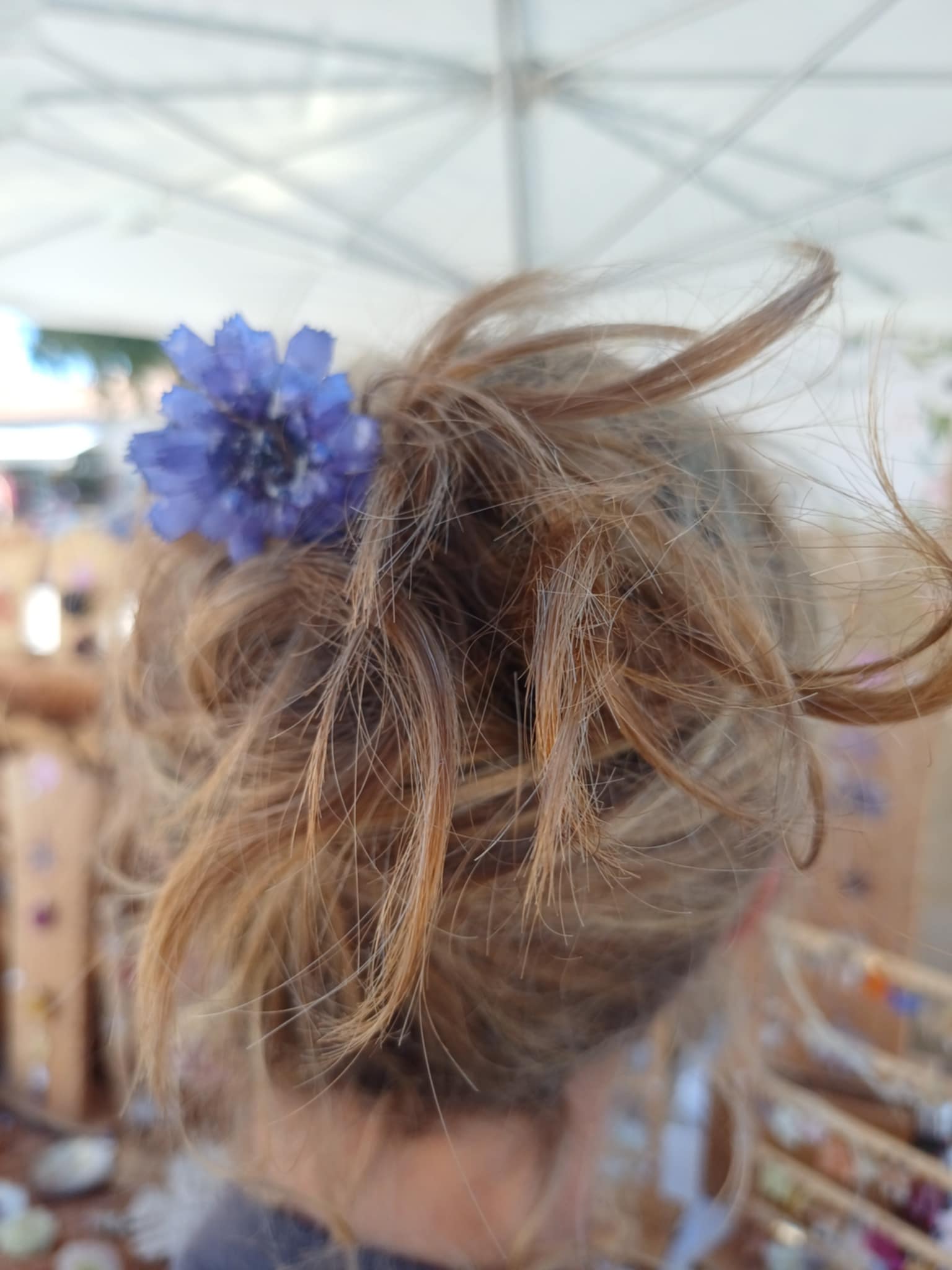 Pique à chignon fleur de Cupidone bleue