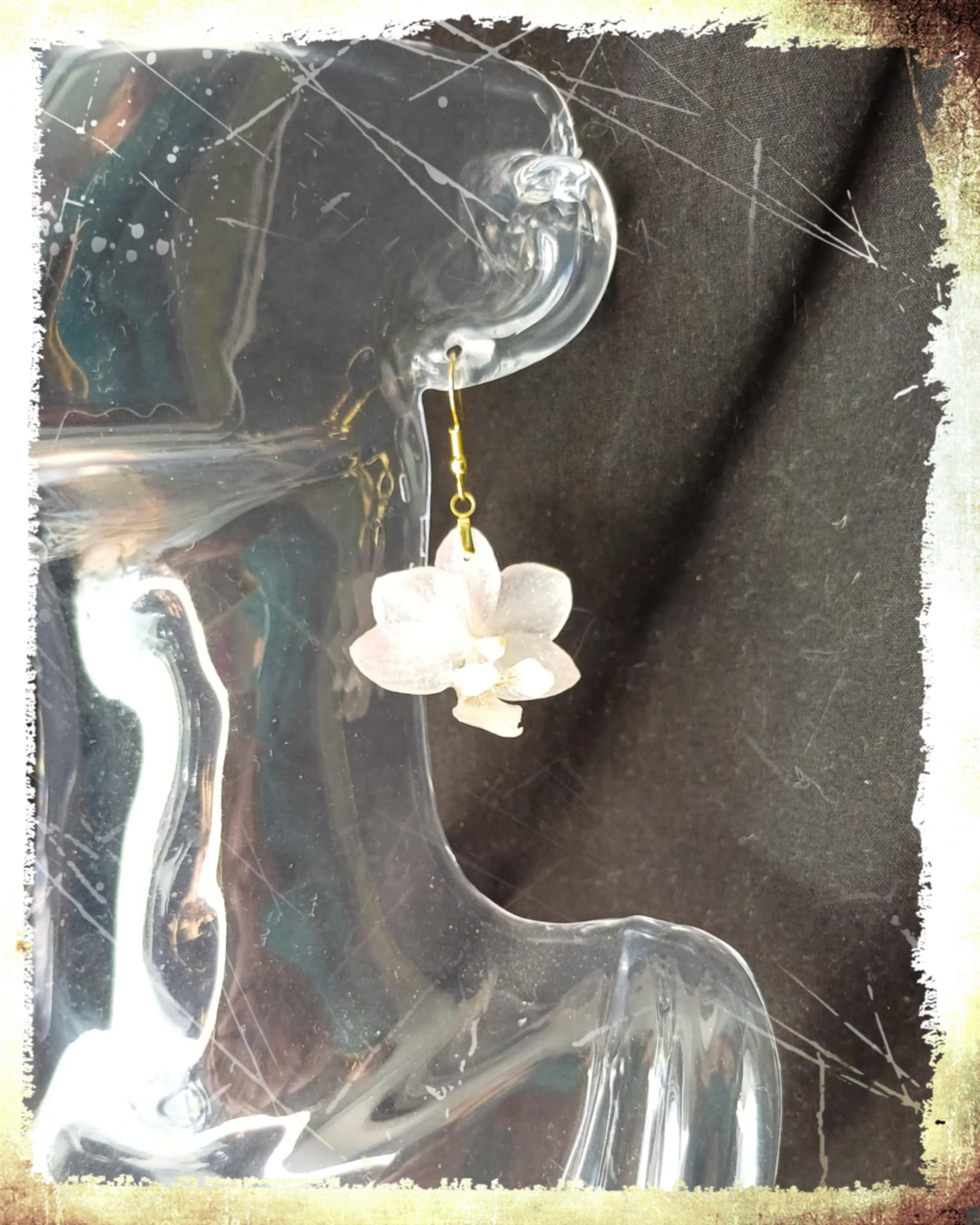 Boucles Orchidées blanches