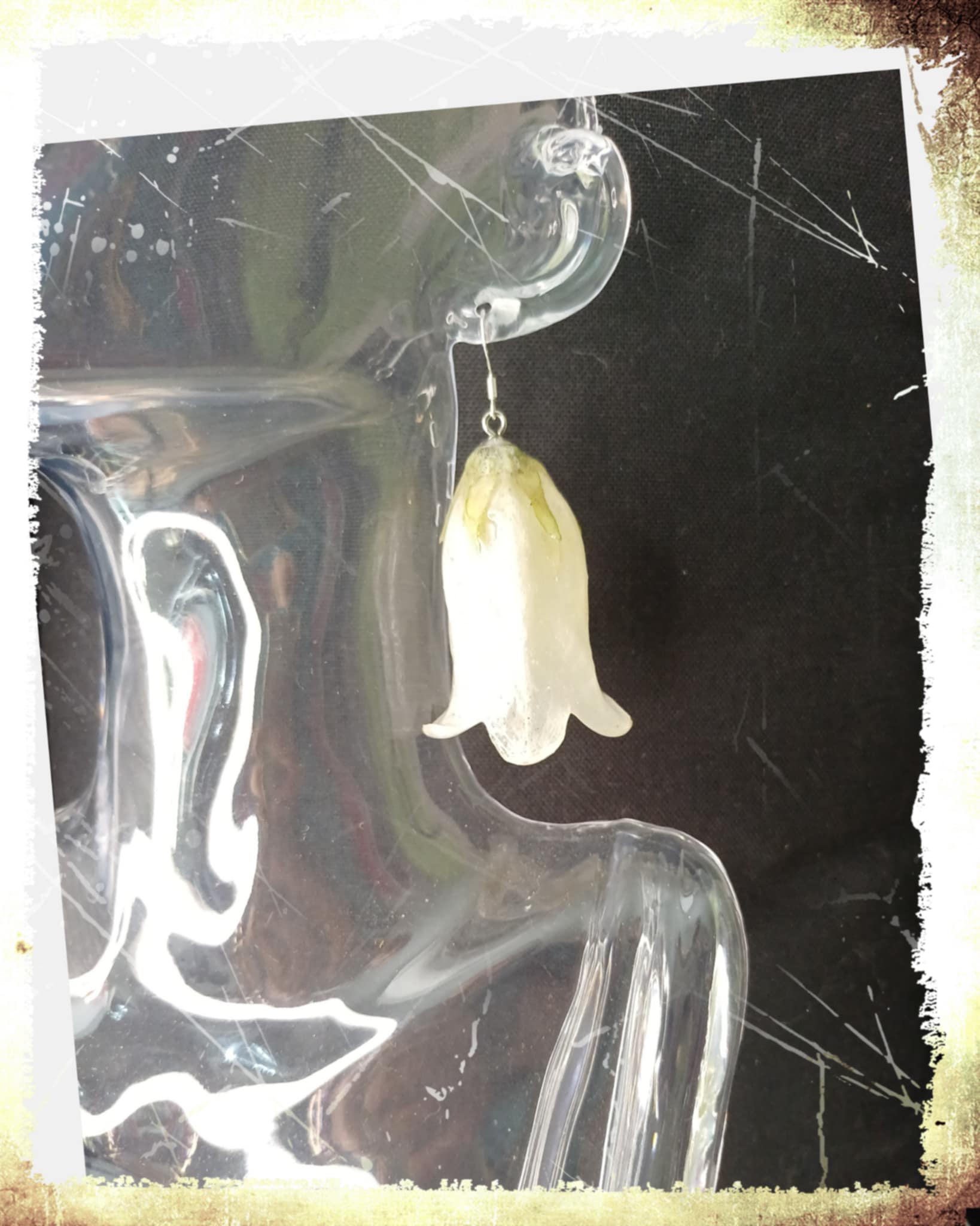 Boucles Campanules blanches