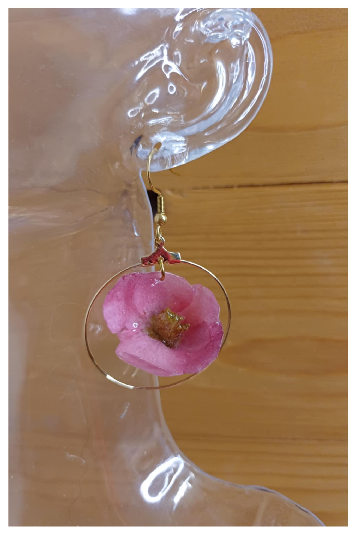 Boucles créoles Cognassier du Japon