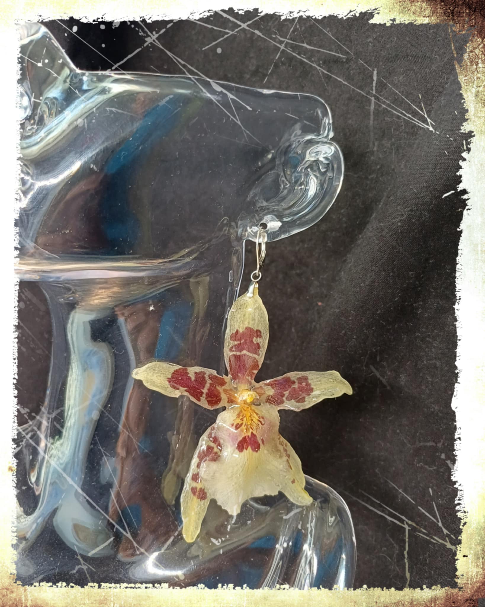 Boucles d'oreilles Orchidées Aliceara