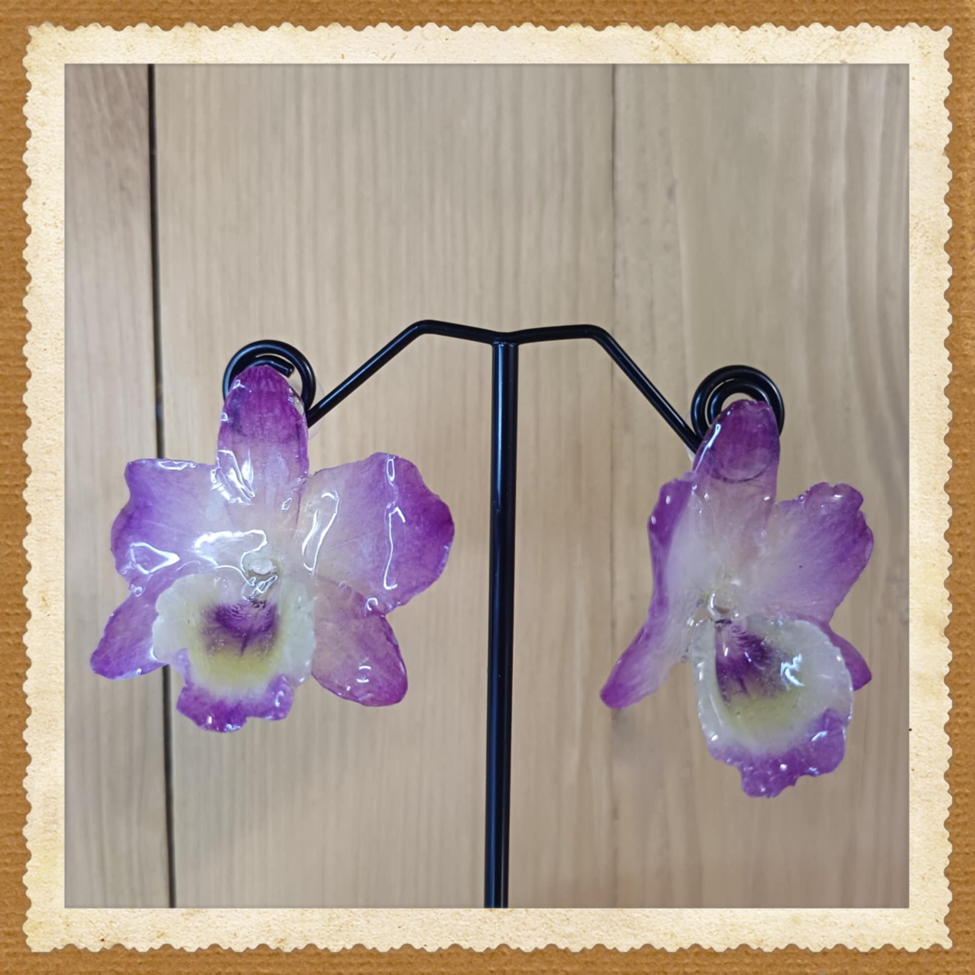 Puces d'oreilles Dendrobium