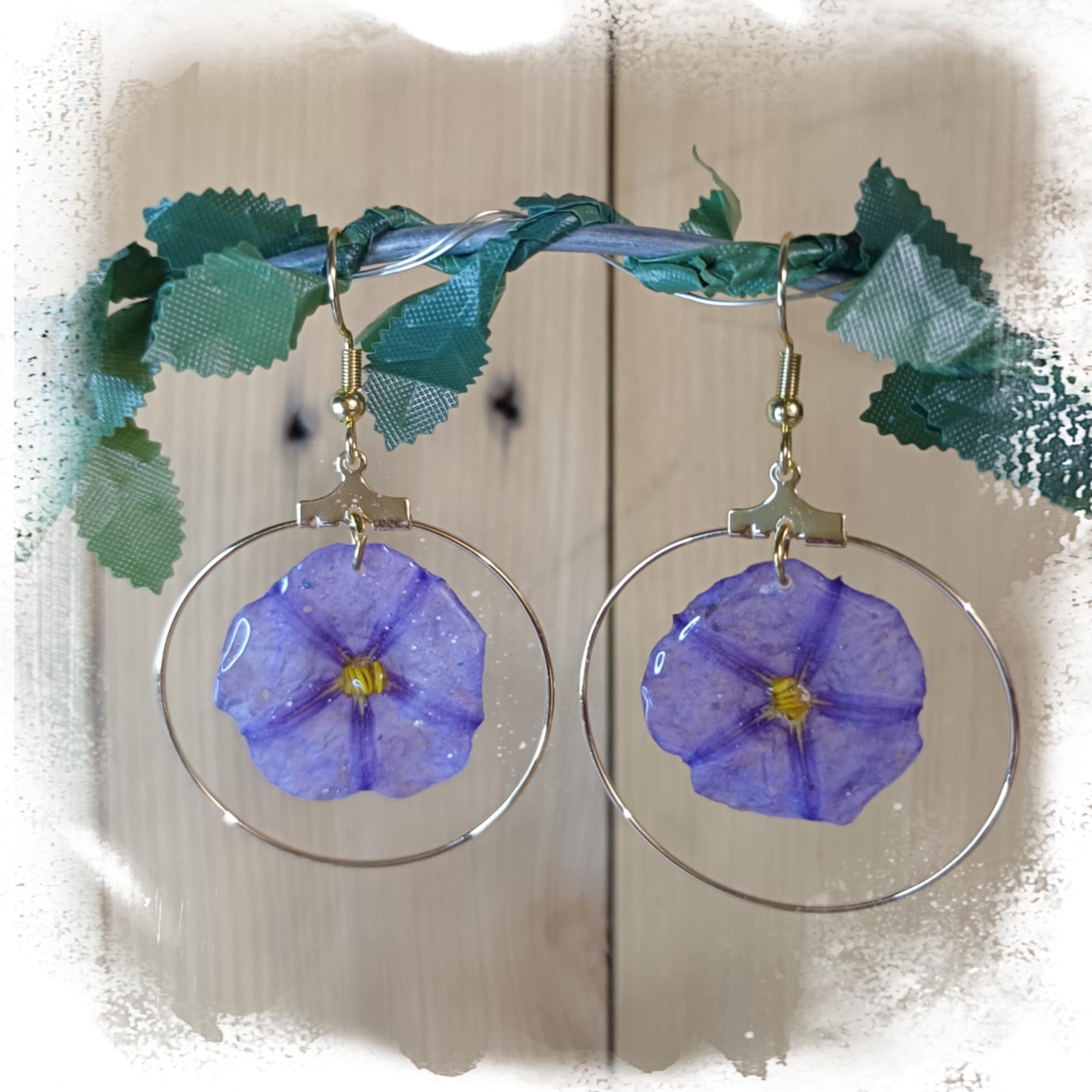 Boucles Liseron de Mauritanie