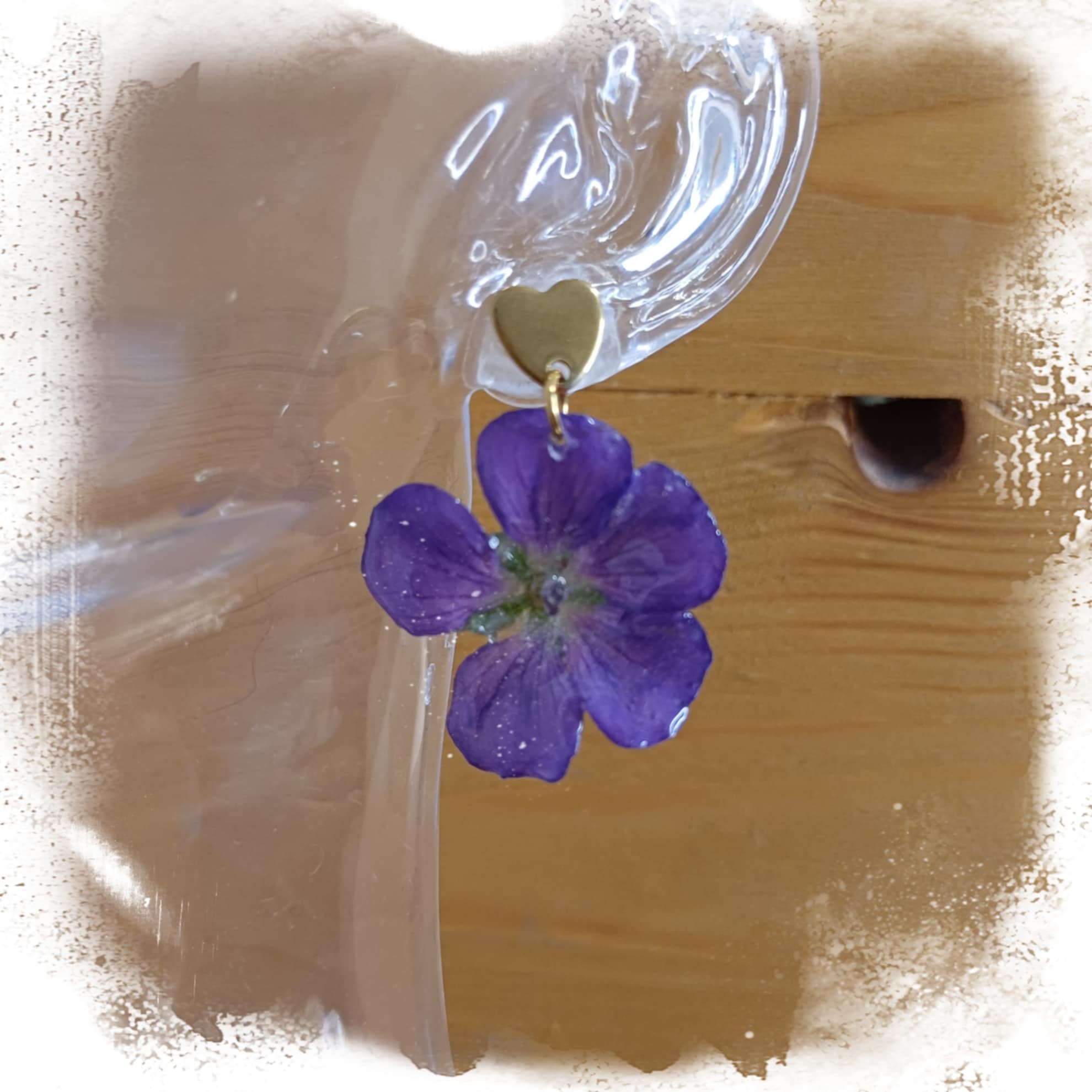 Boucles Géranium vivace