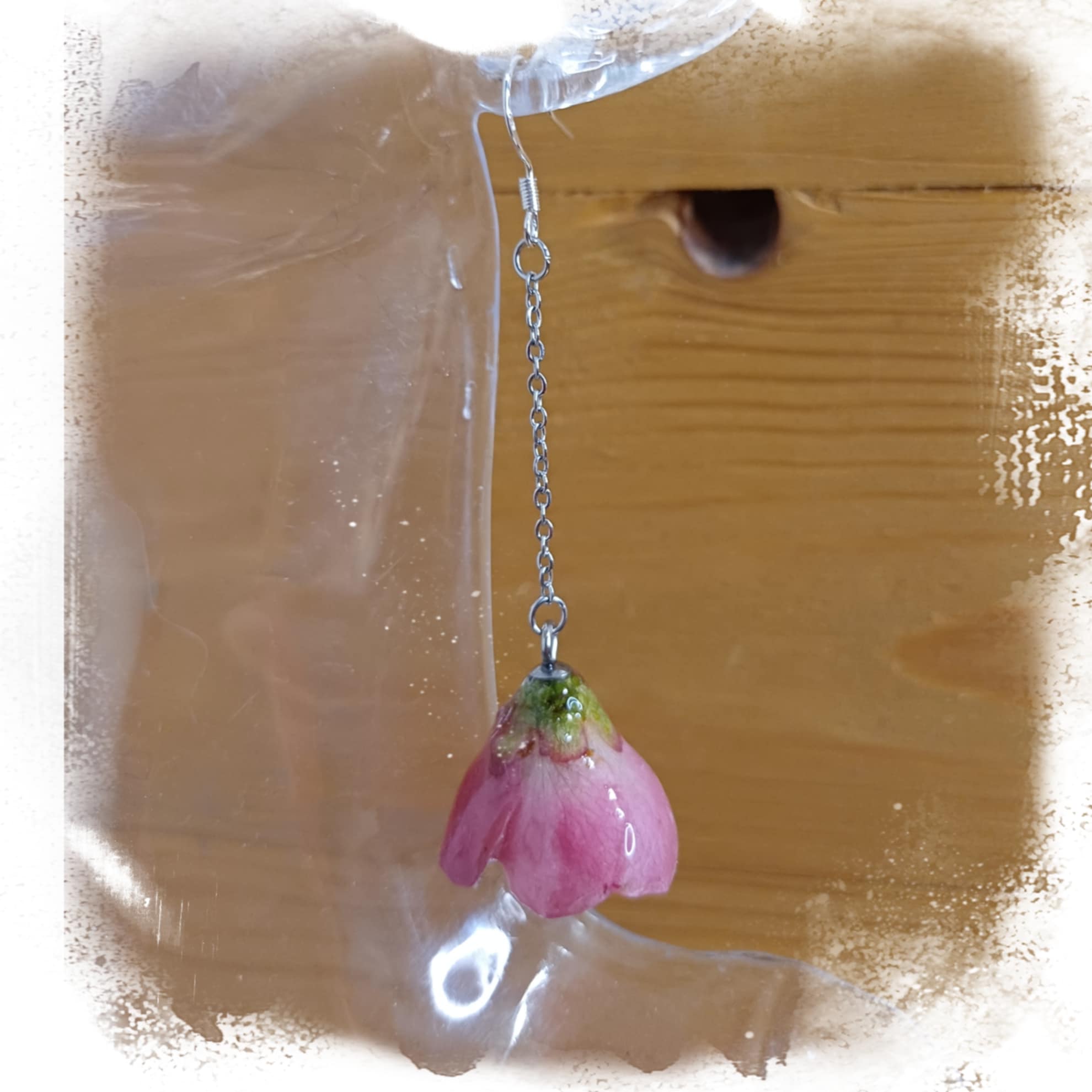 Boucles Cognassier du Japon