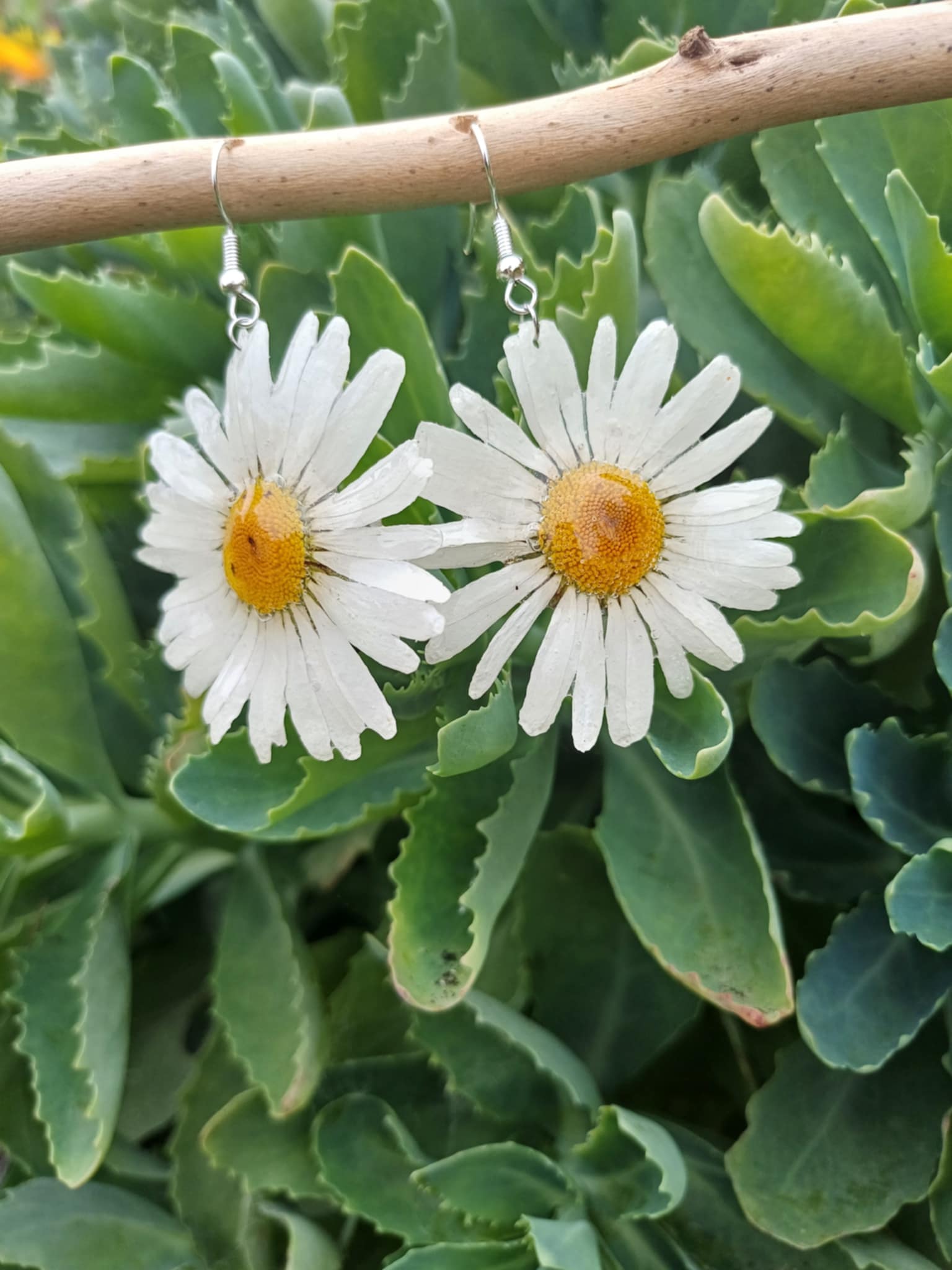 Boucles d'oreilles marguerite