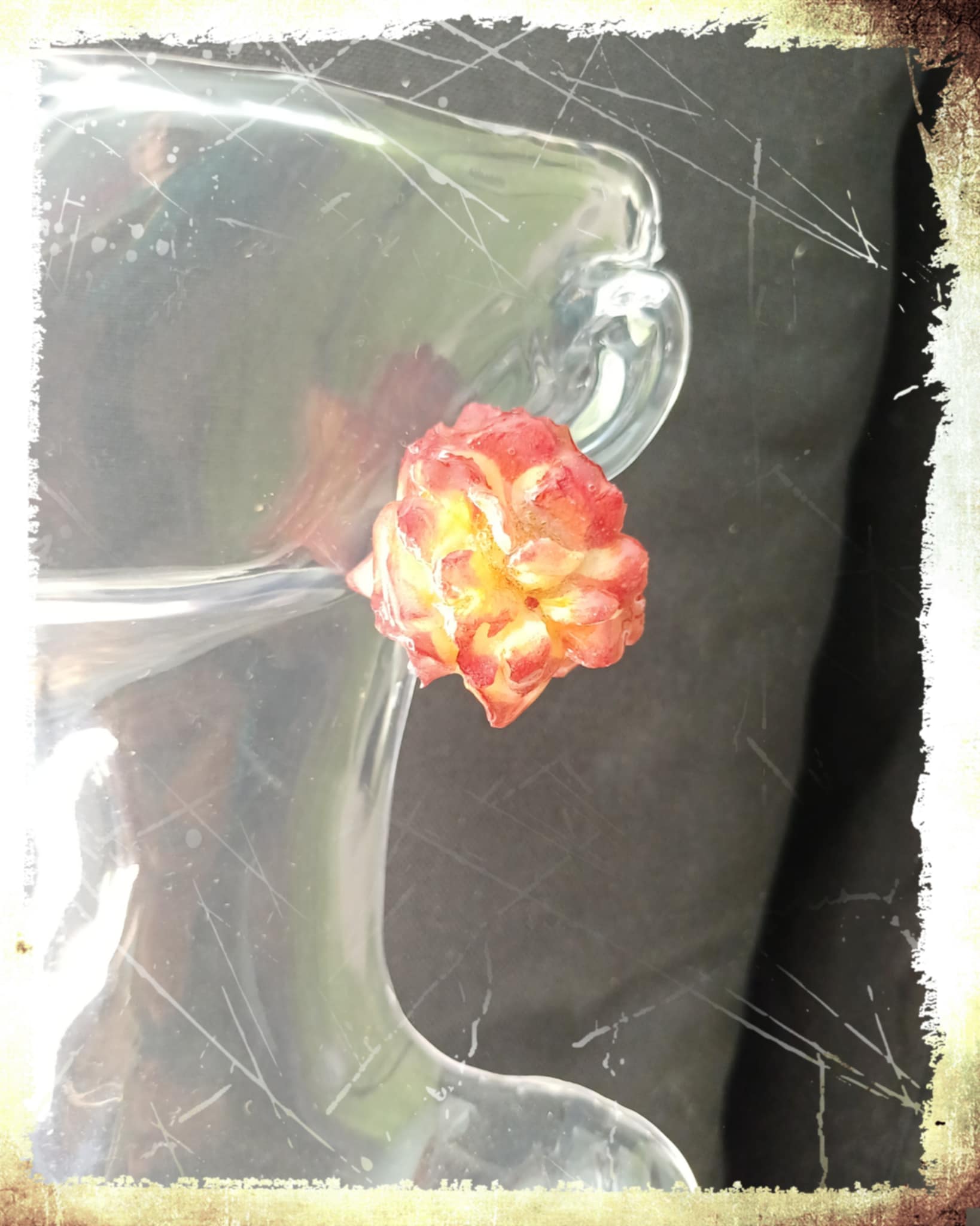 Puces d'oreilles Rose rouge et jaune