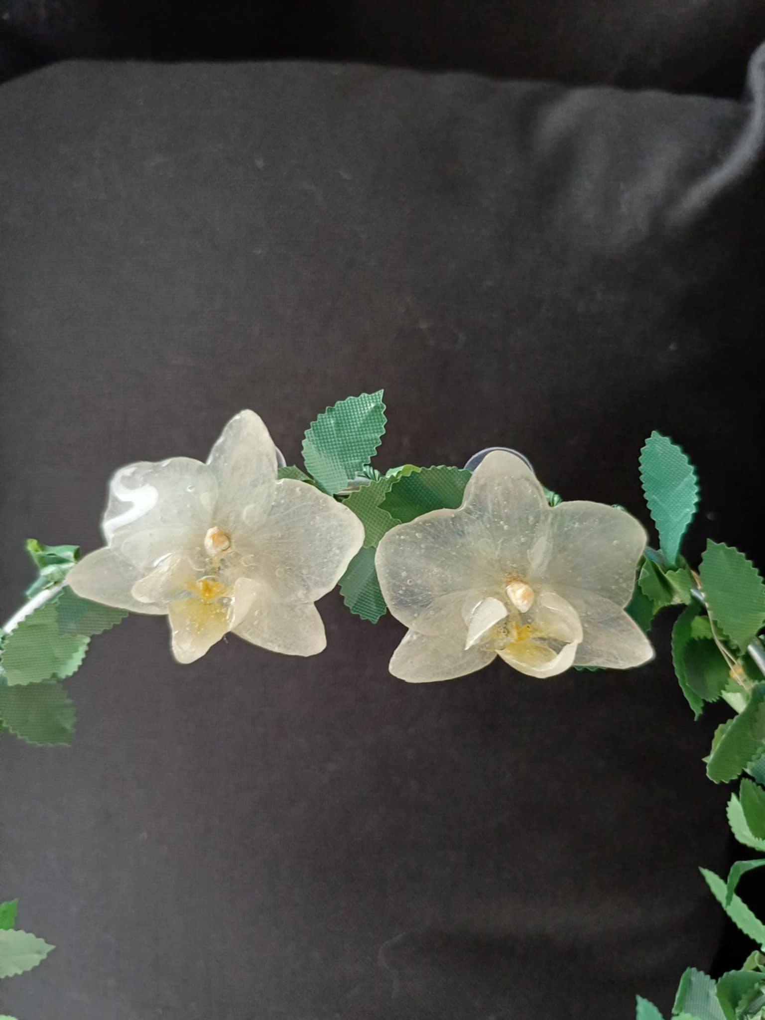 Puces d'oreilles Orchidées blanches