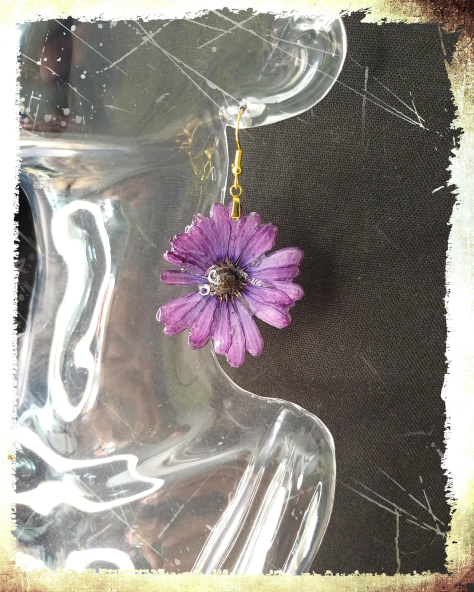 Boucle fleur Osteospermum violet