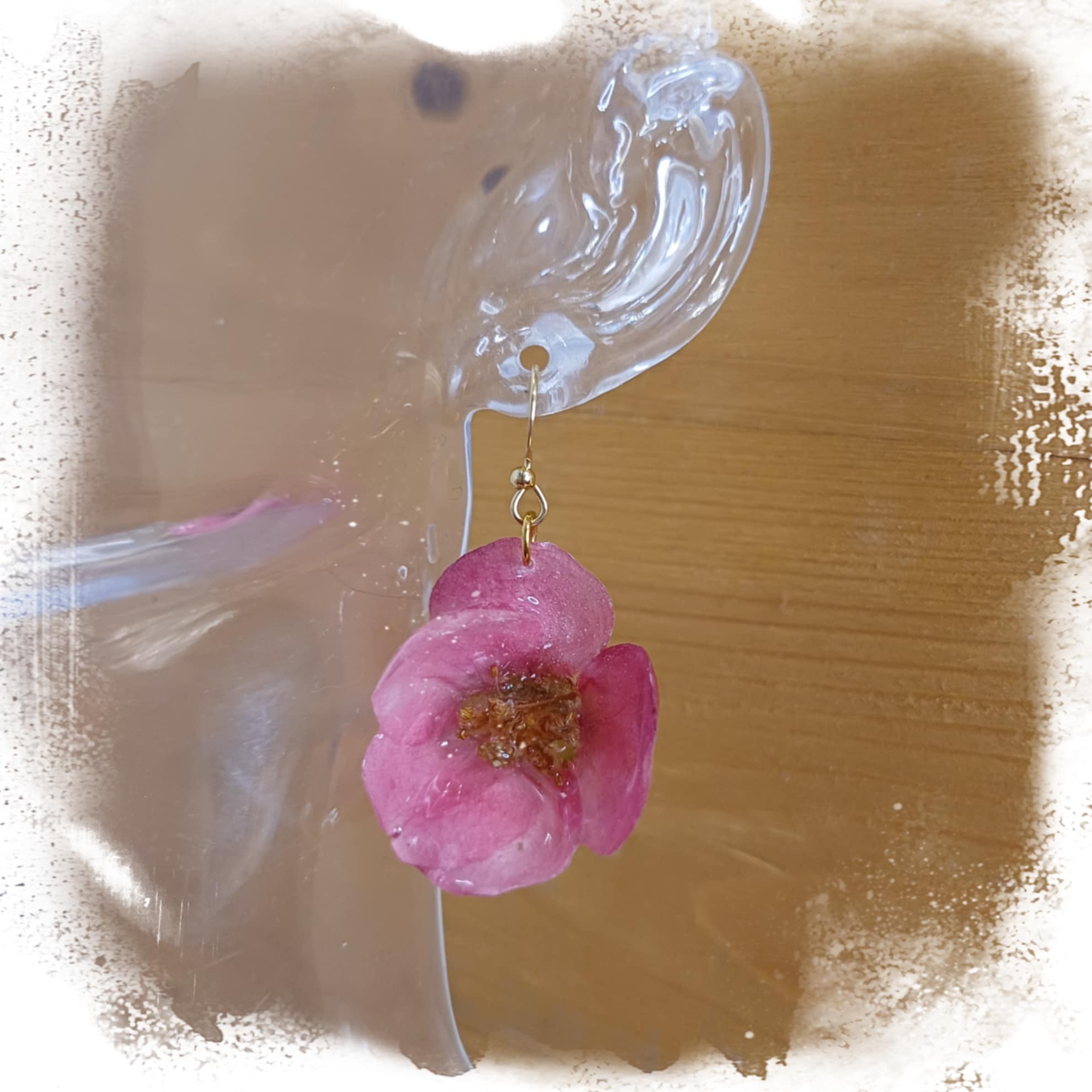 Boucles Cognassier du Japon