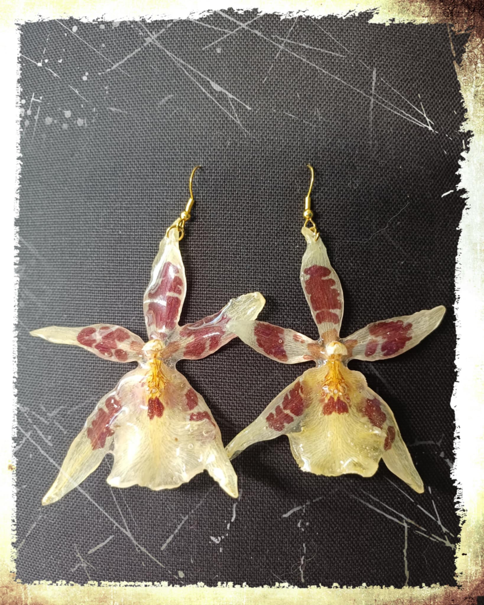 Boucles d'oreilles fleurs d'Orchidées Aliceara