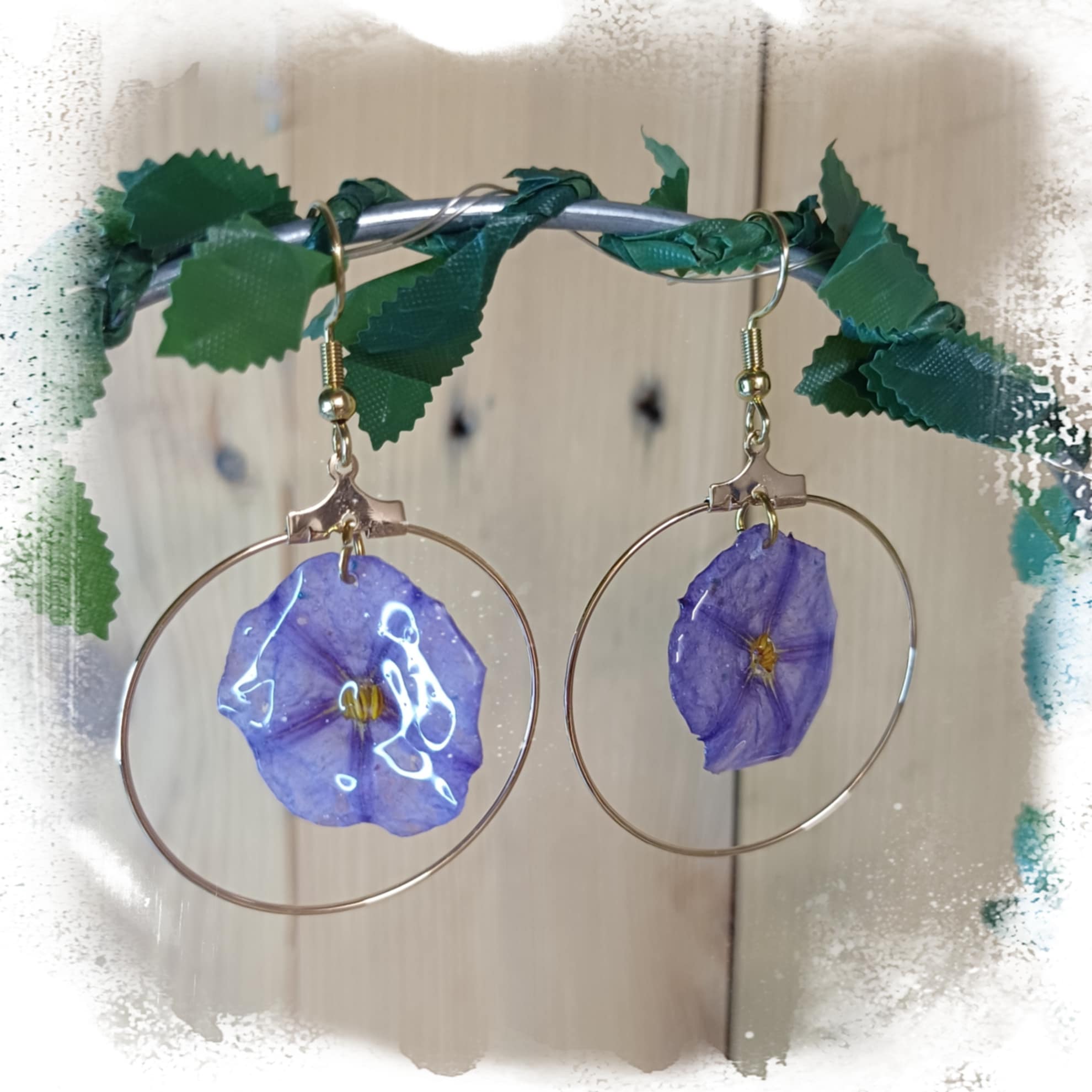 Boucles Liseron de Mauritanie