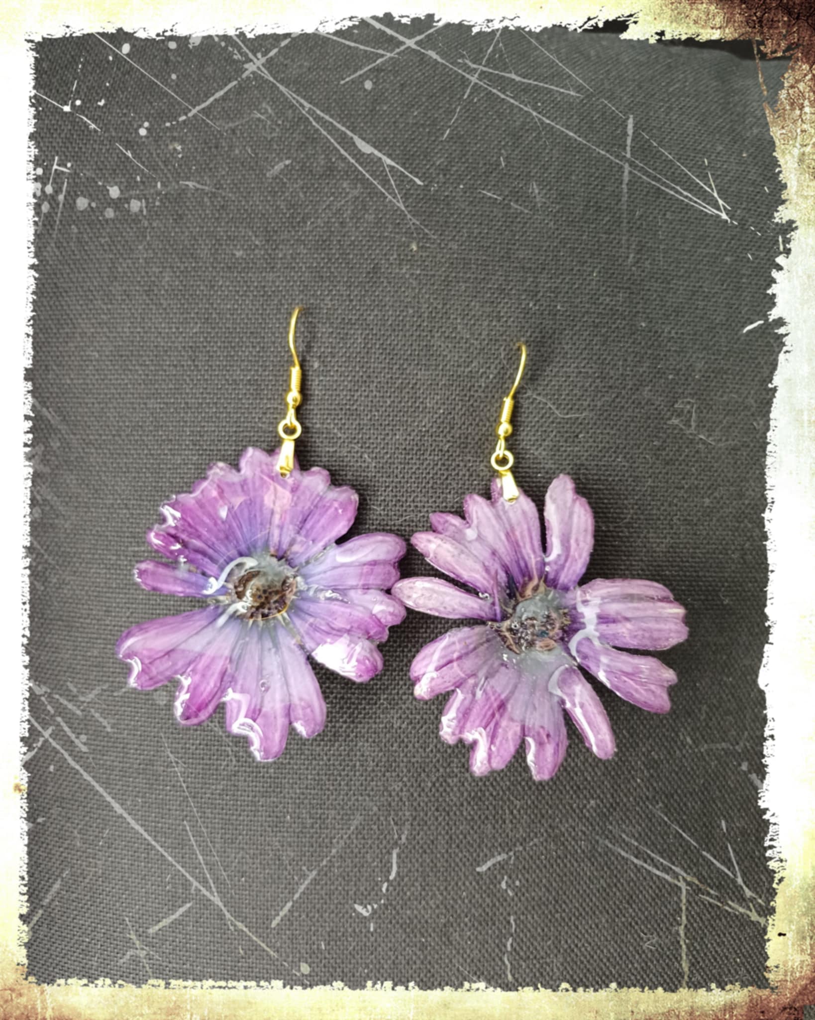 Boucle fleur Osteospermum violet