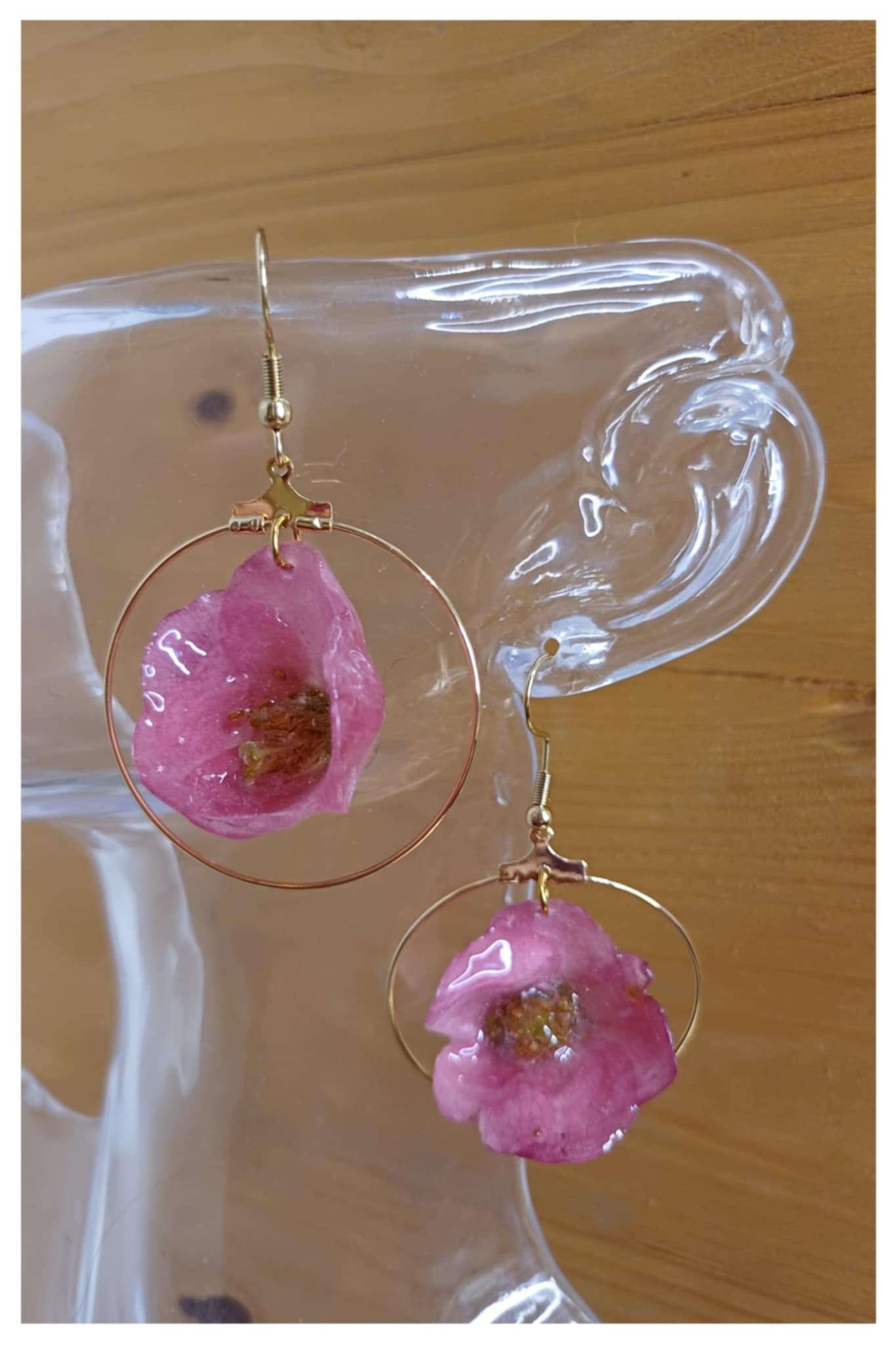 Boucles créoles Cognassier