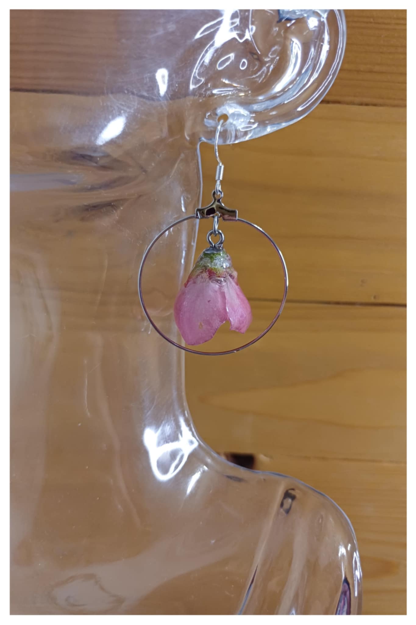 Boucle cognassier du Japon rouge