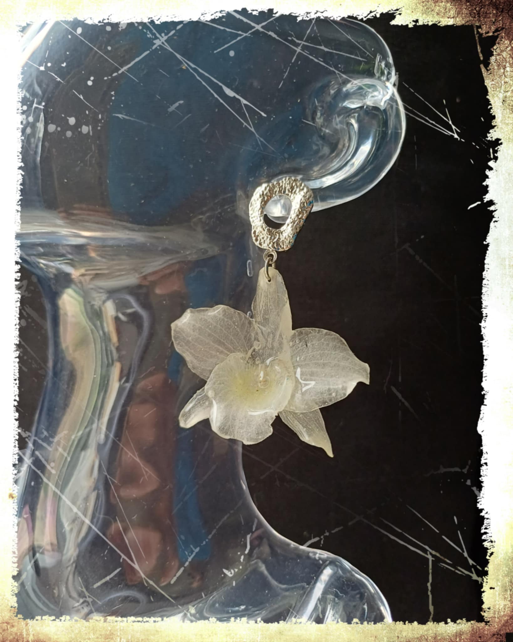 Boucles Orchidées Dendrobium blanches