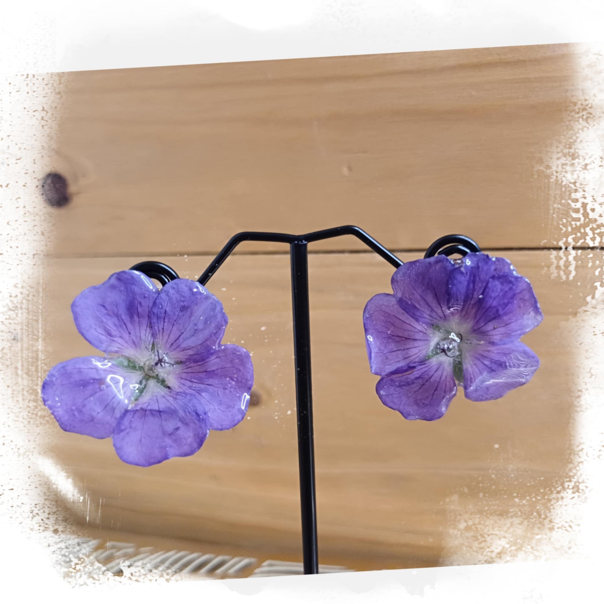 Puces d'oreilles Géranium vivace