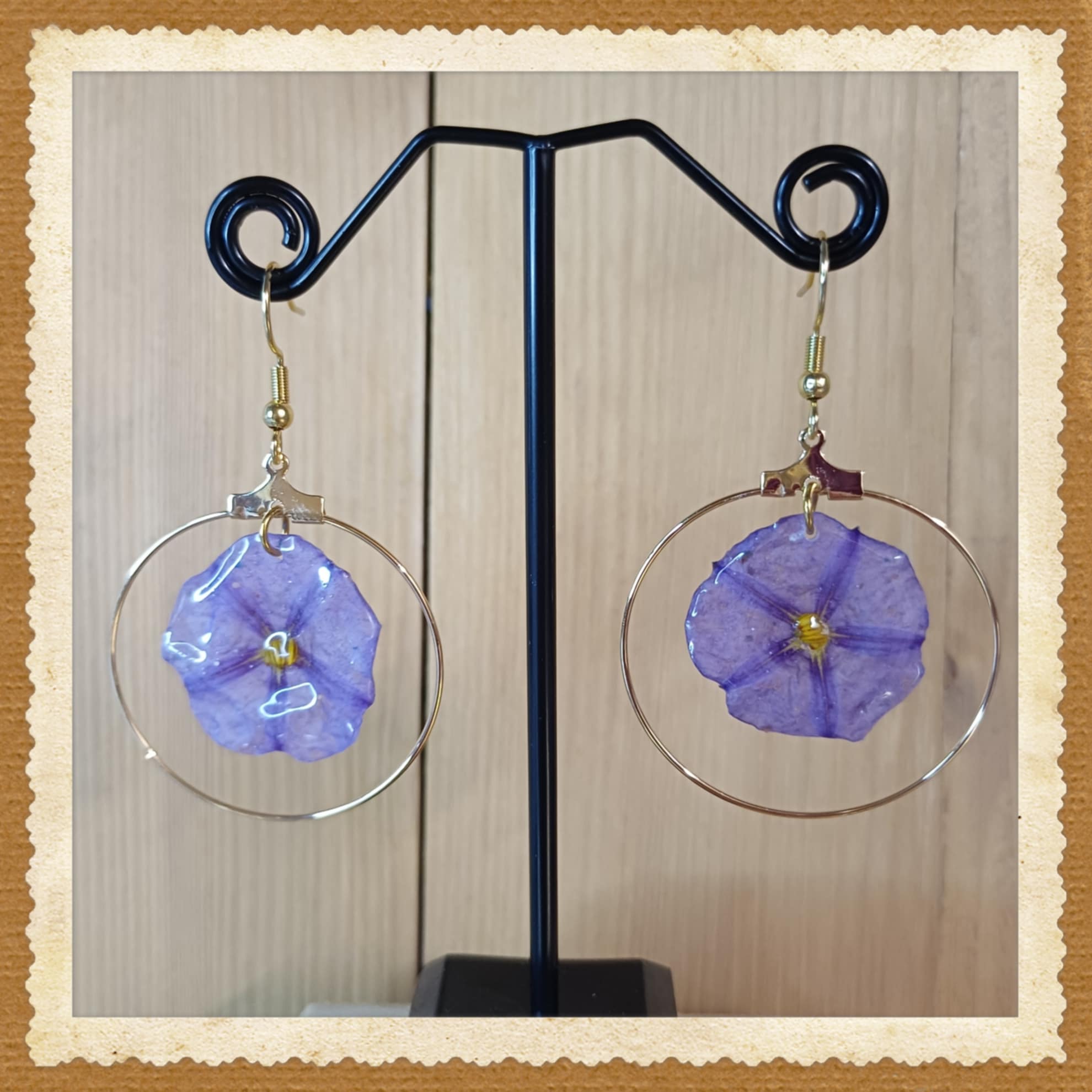 Boucles Liseron de Mauritanie