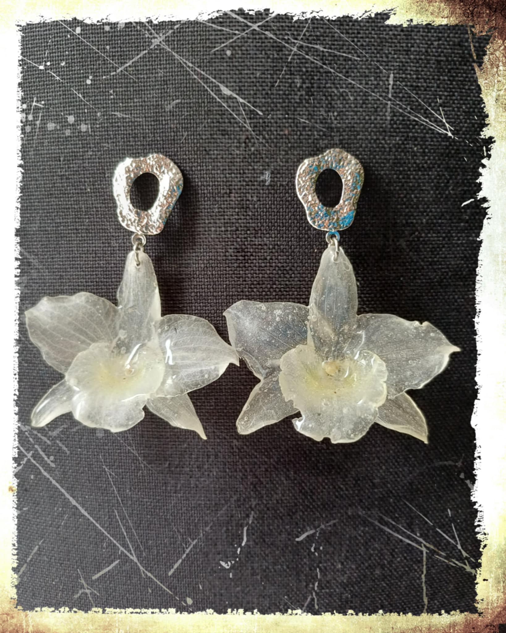 Boucles Orchidées Dendrobium blanches