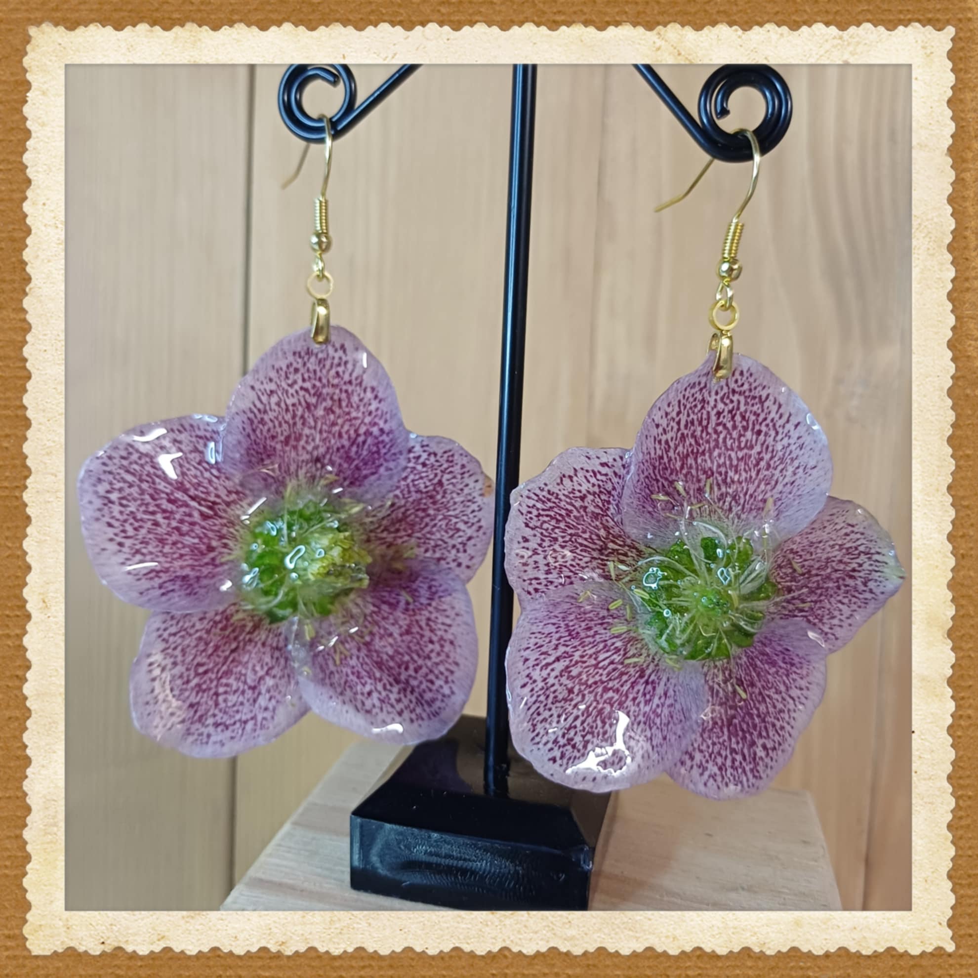 Boucles Hellébores blanches et mauves