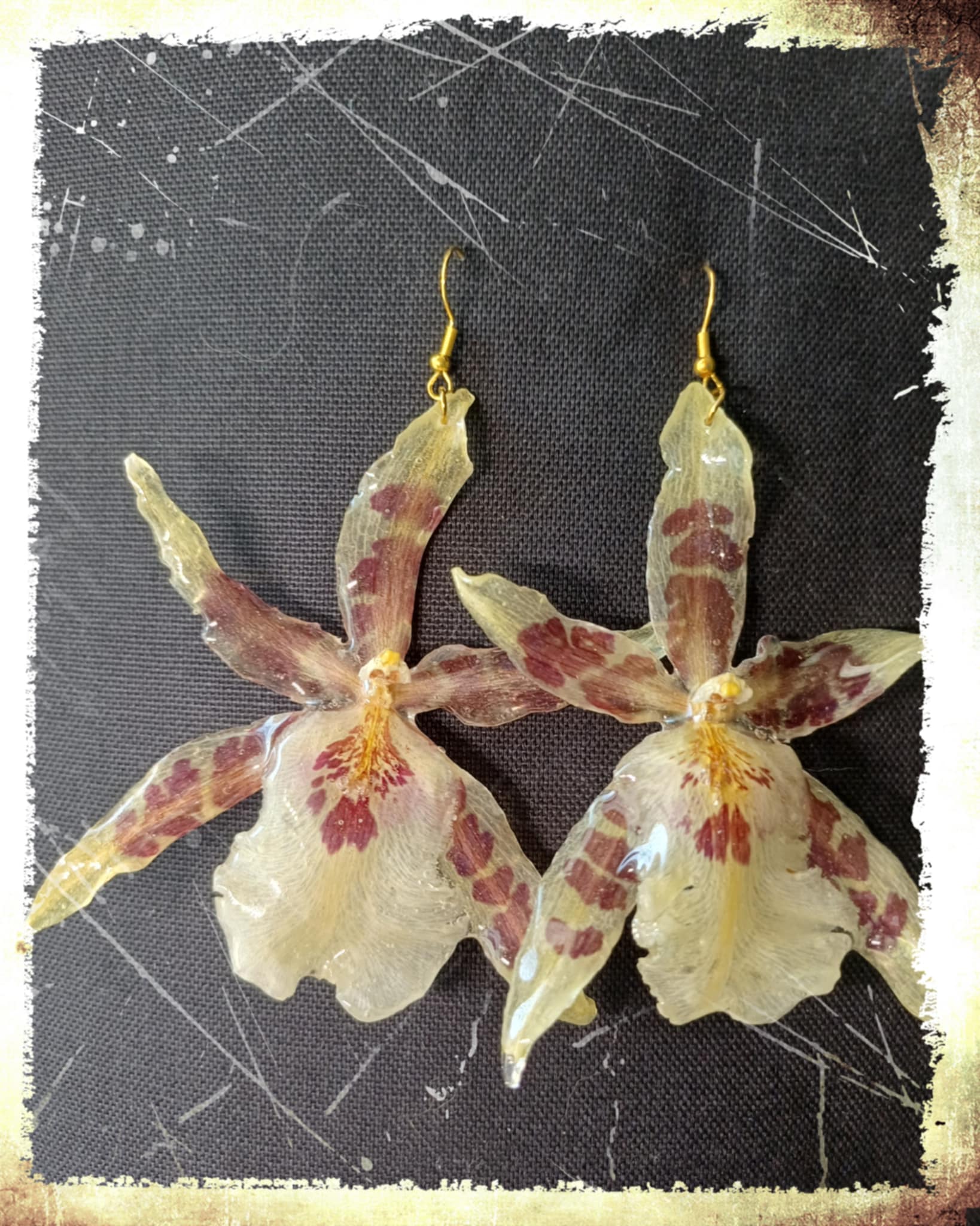 Boucles d'oreilles Orchidées Aliceara