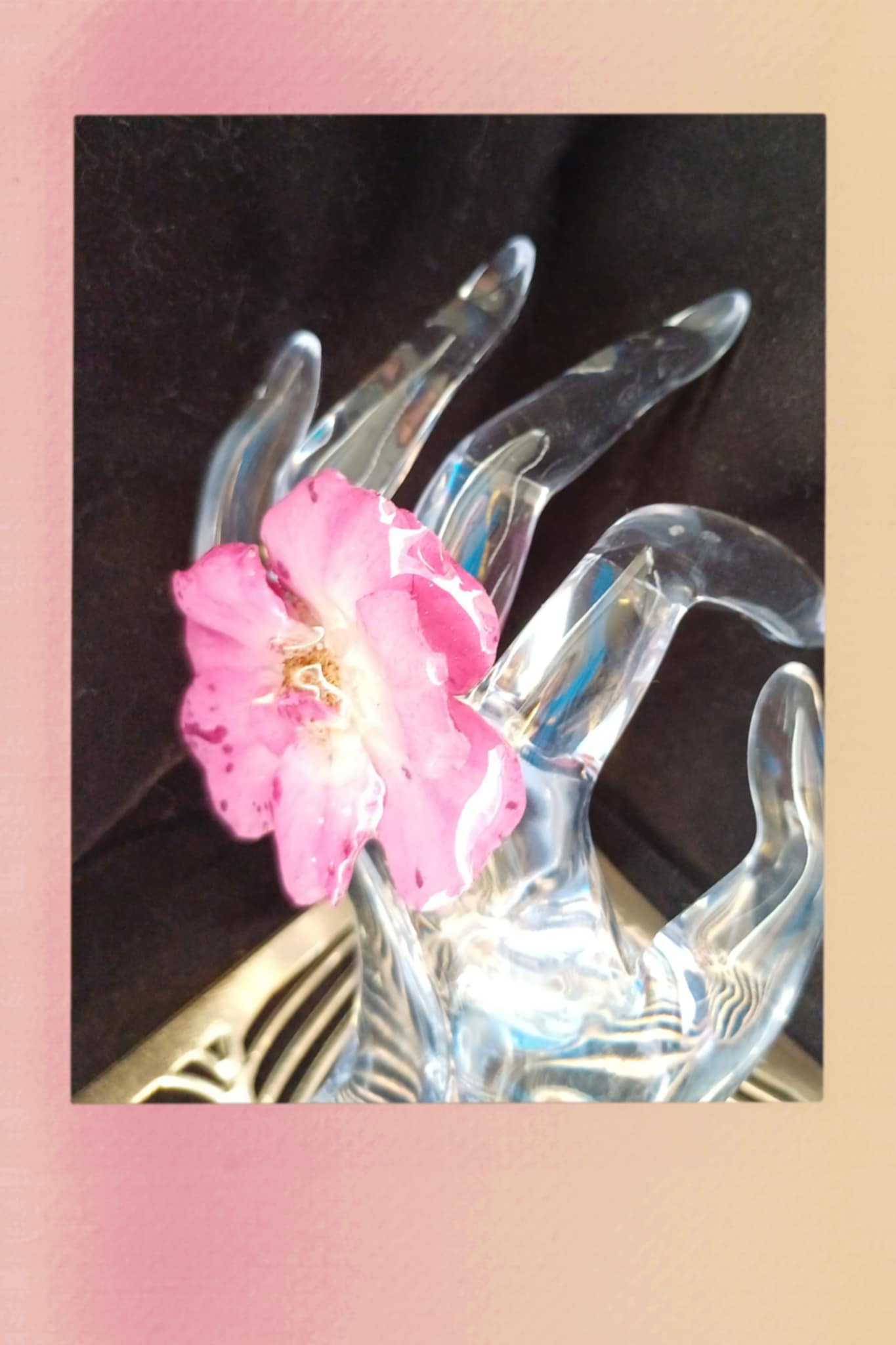 Bague rose d'églantier